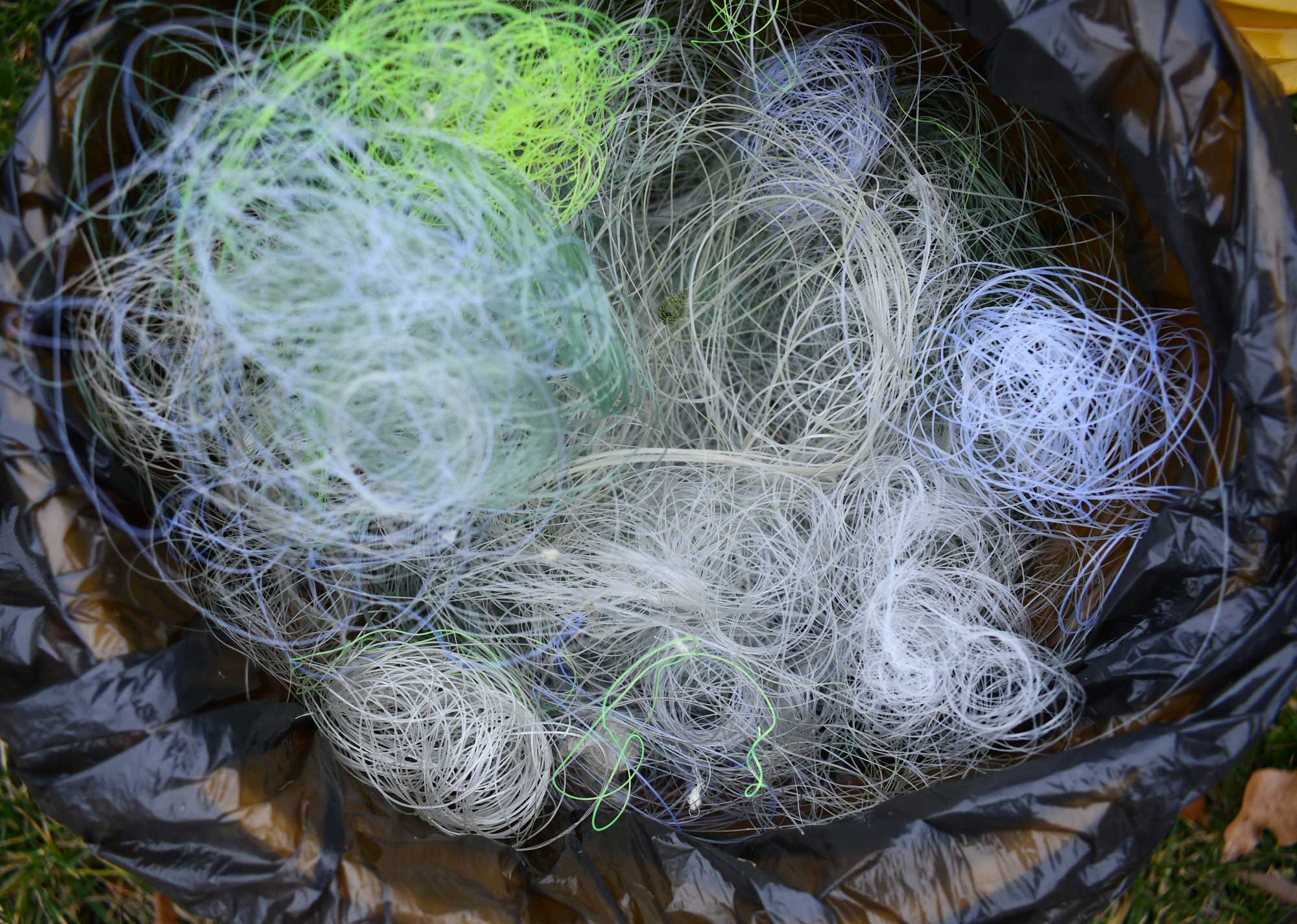 A large collection of fishing line waiting to be recycled.