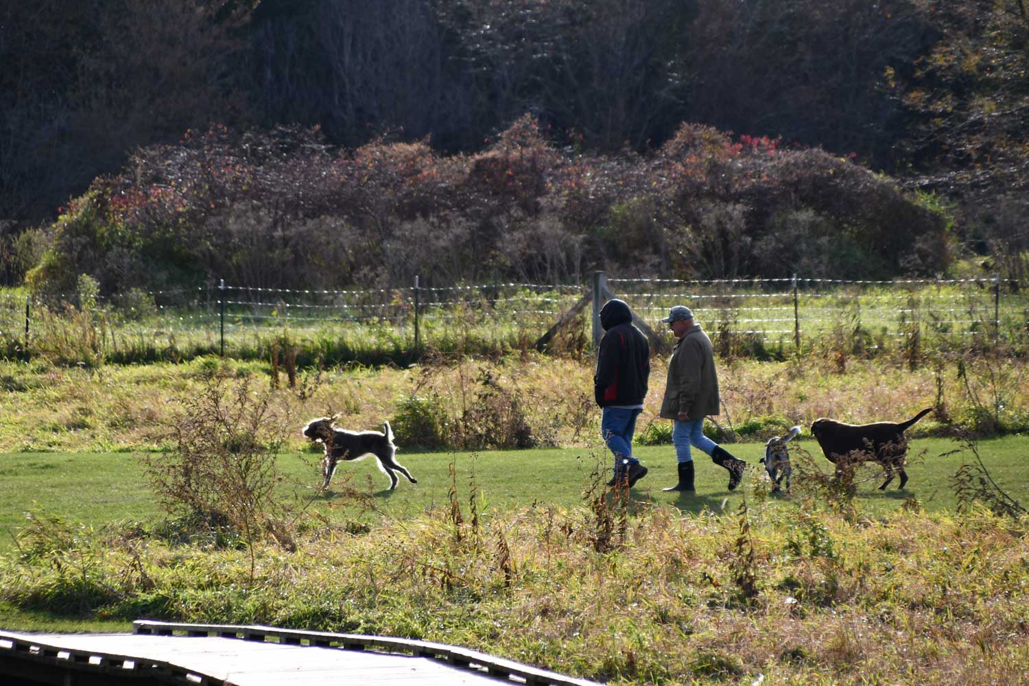 Two dog park visitors with their dogs.