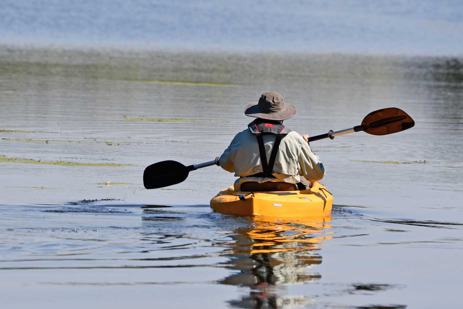 A person kayaking as seen from behind.