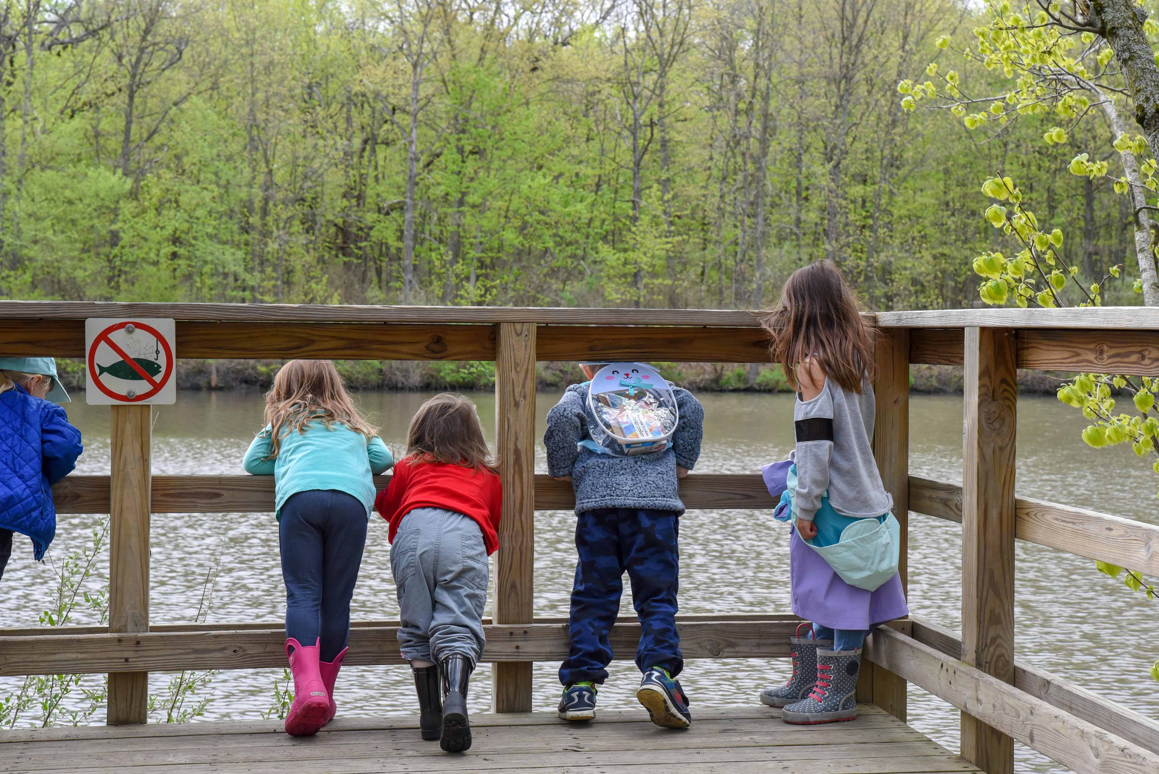 A group of kids looking at the pond on a dock at Goodenow Grove.