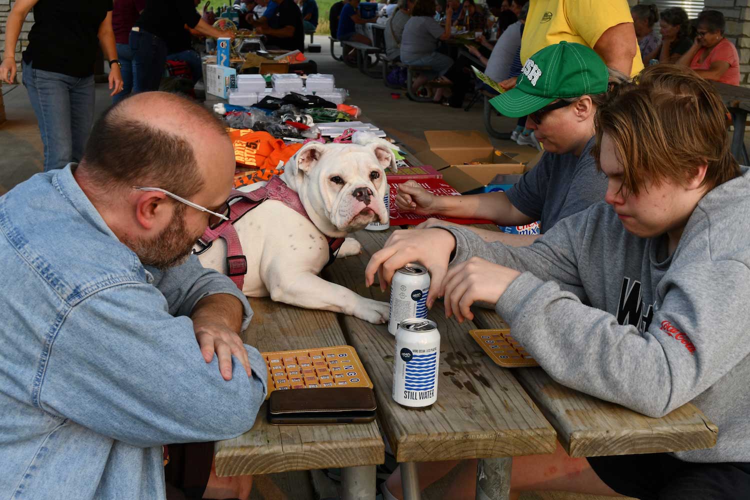 People and a dog sitting at a picnic table playing bingo.