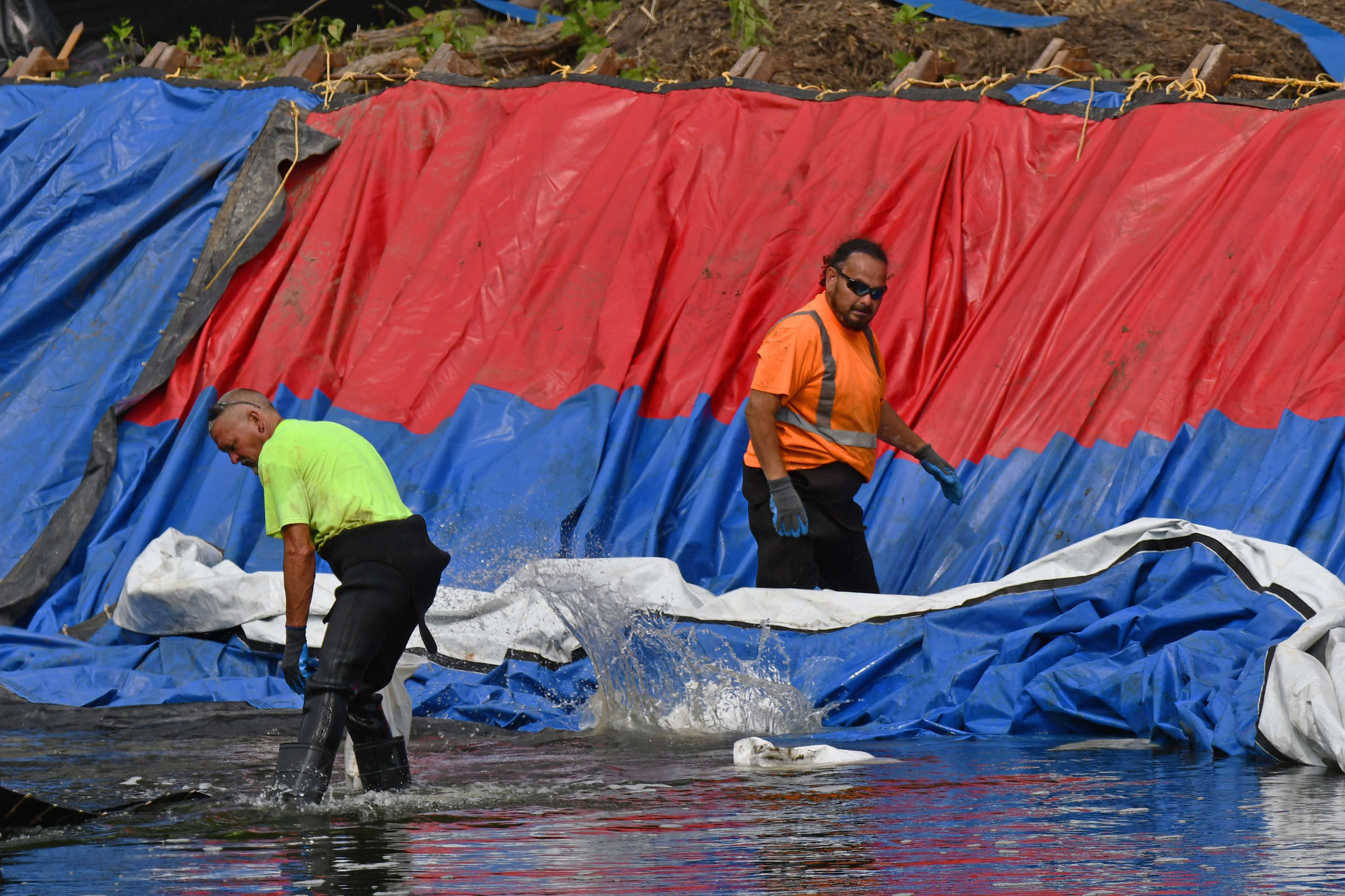 People assisting with the Hammel Woods dam removal.