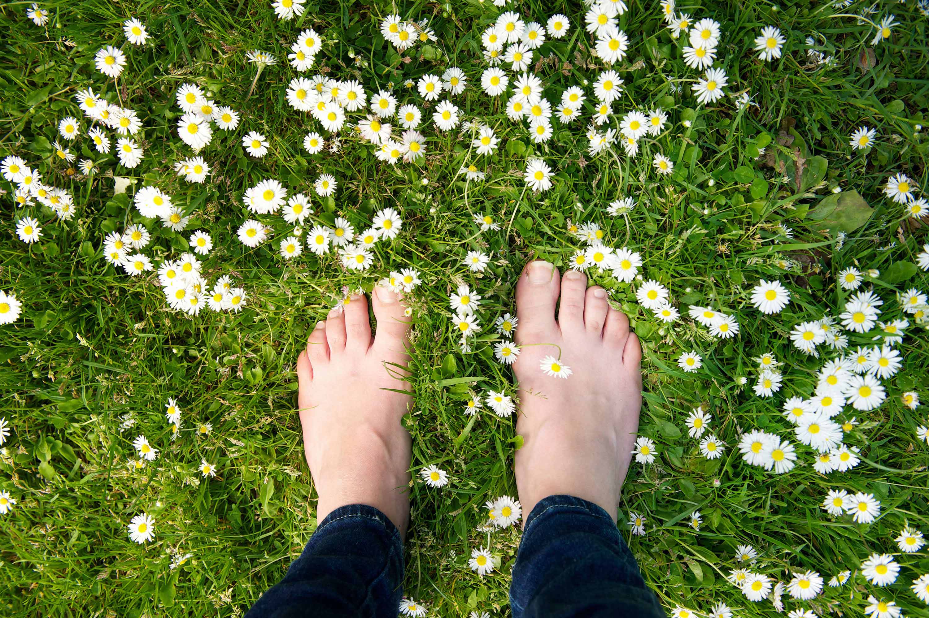 Life underground: What lives just underneath our feet