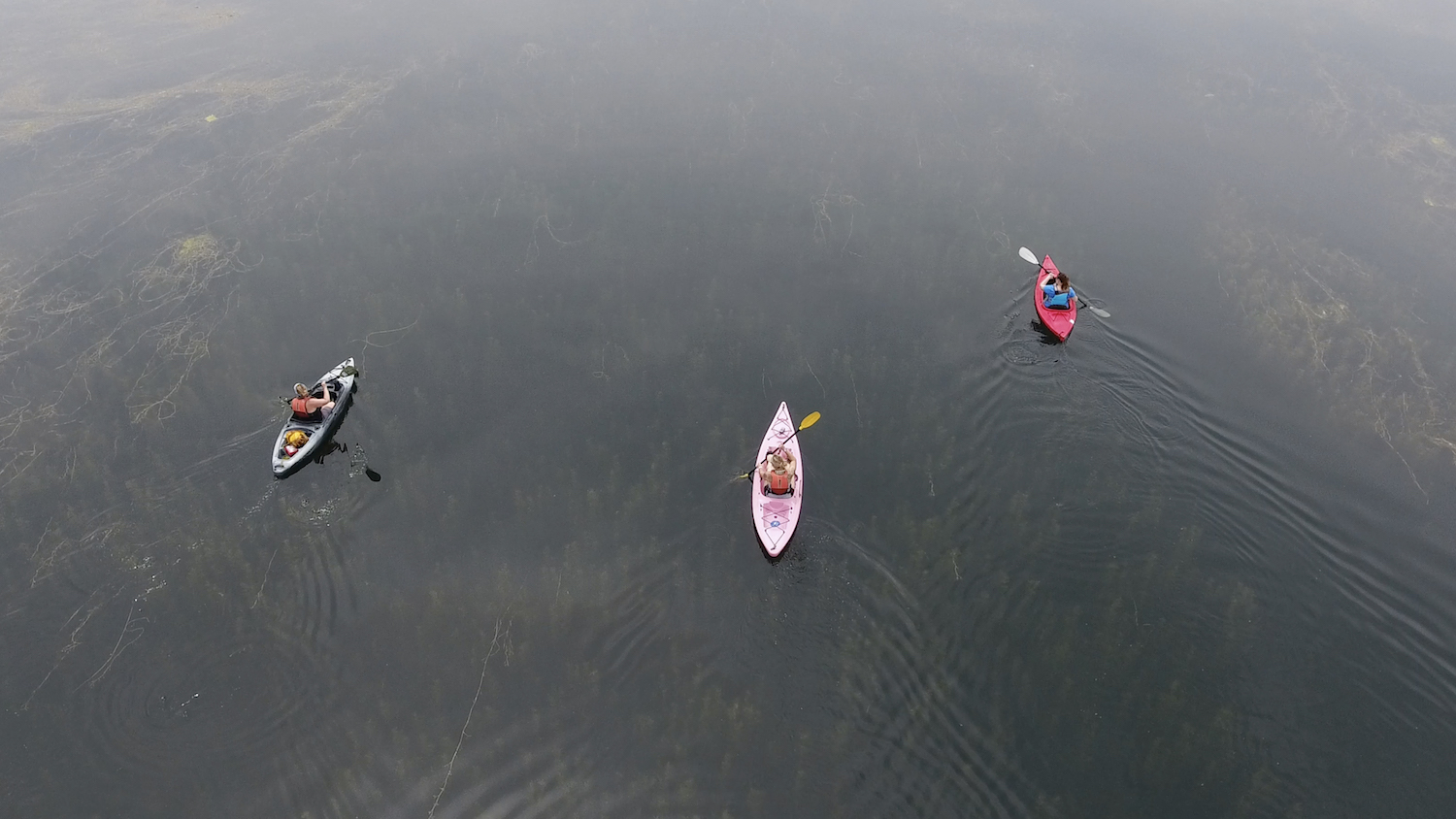 An aerial view of three kayaks on a lake.