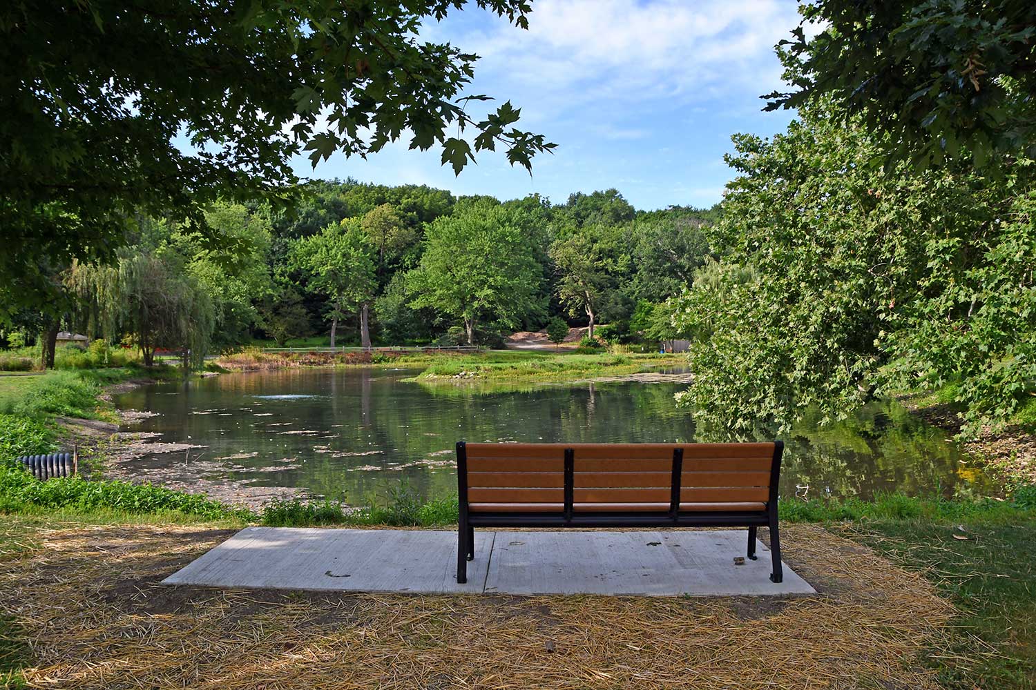 A bench at Hidden Lakes.
