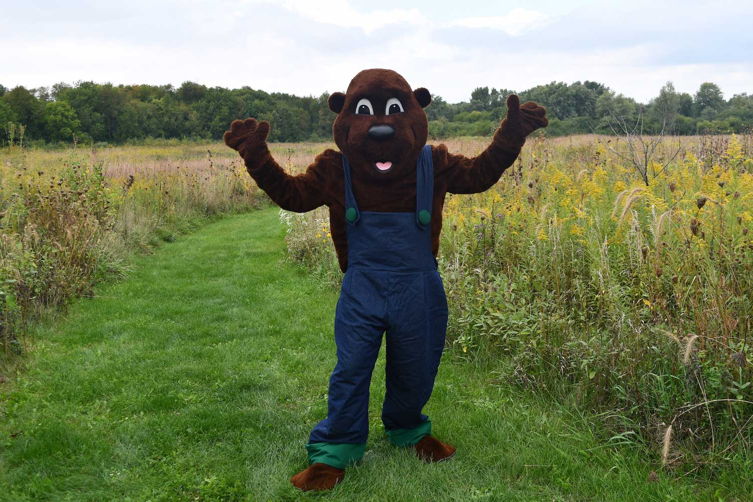 Willy Woodchuck standing in front of a prairie with his hands up in the air.