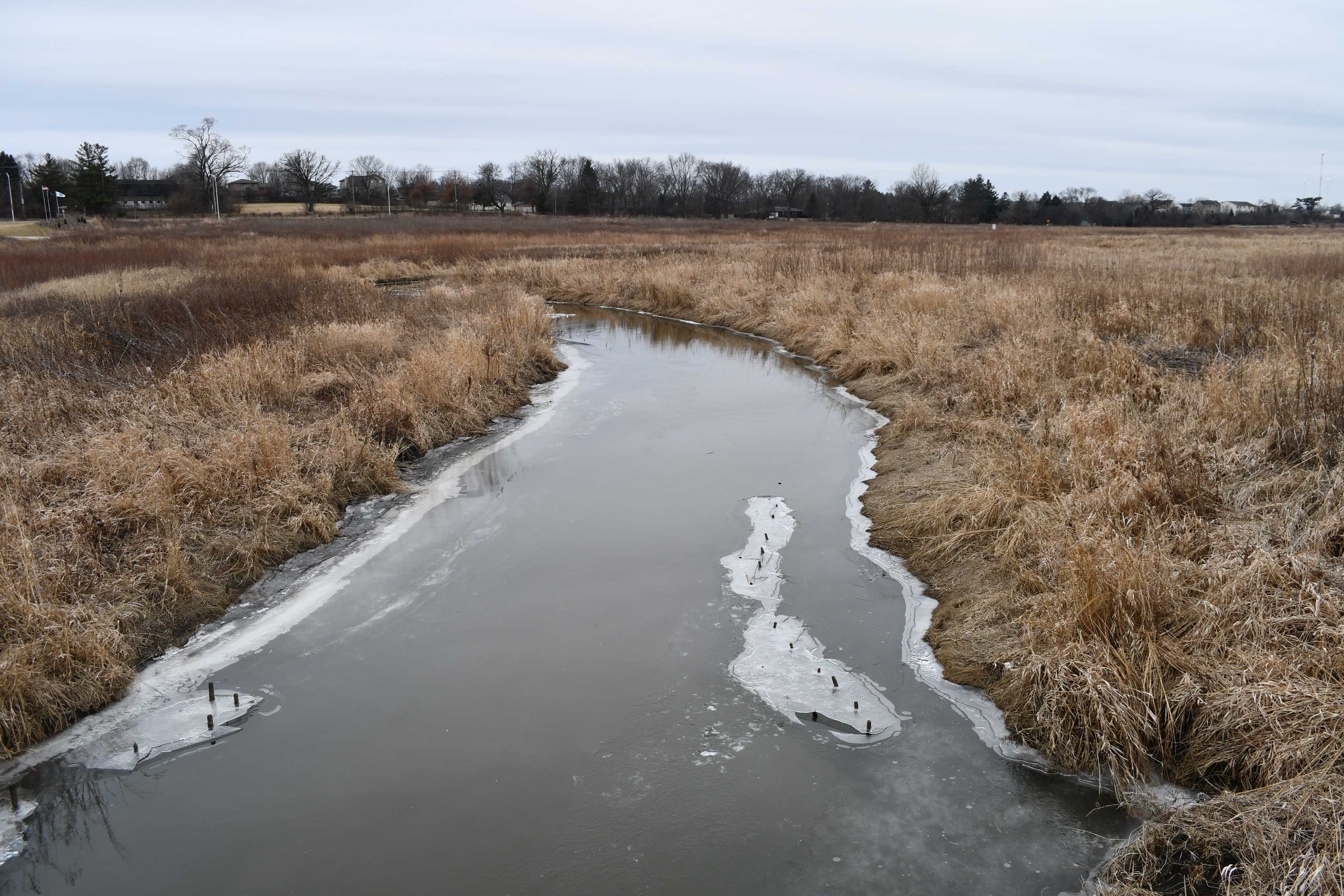 A view of a partially frozen Spring Creek.