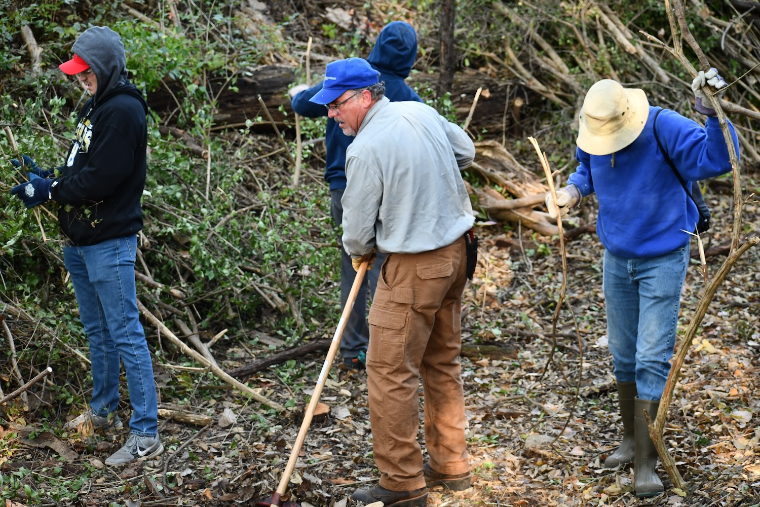 A group of people with rakes and other tools working to clear brush from a wooded area.