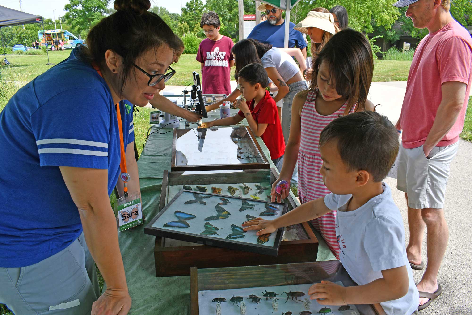 Children look at samples of butterflies.