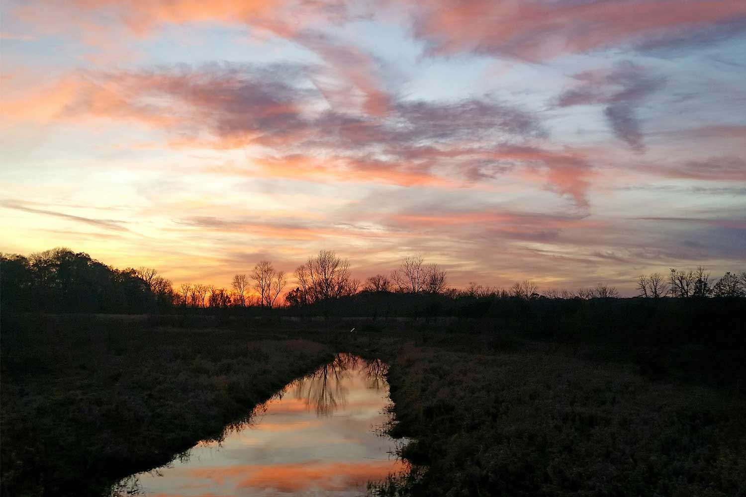 Creek lined by grasses at sunset.