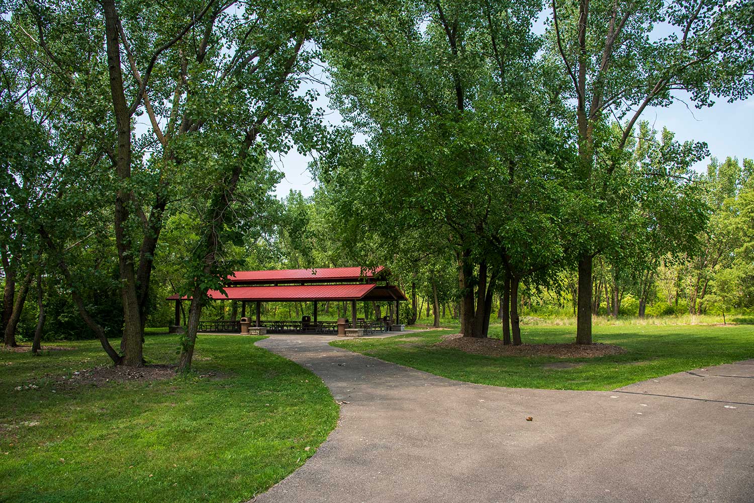 A picnic shelter surrounded by tall trees at the end of a trail.