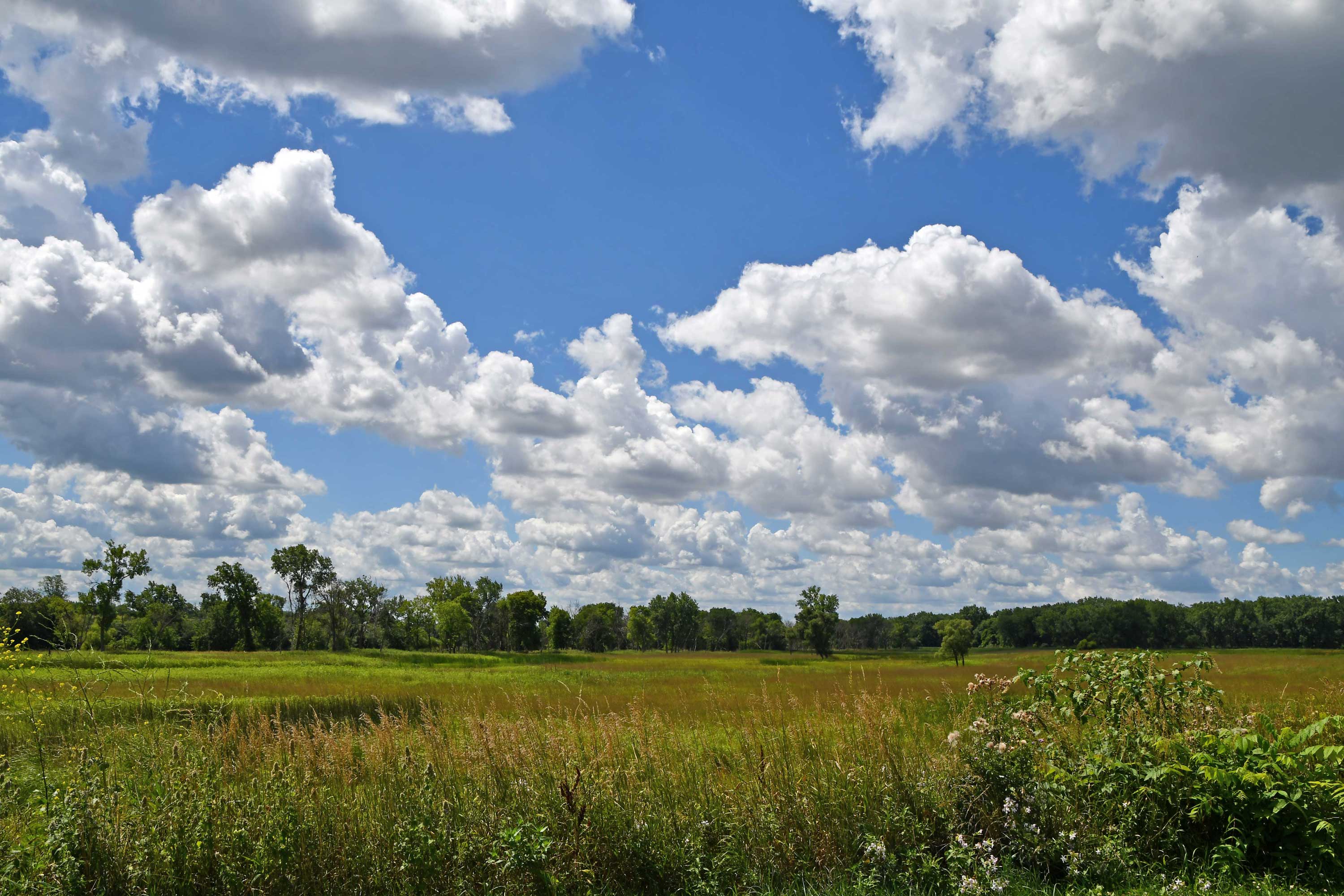 An open prairie with a cloud-filled sky.