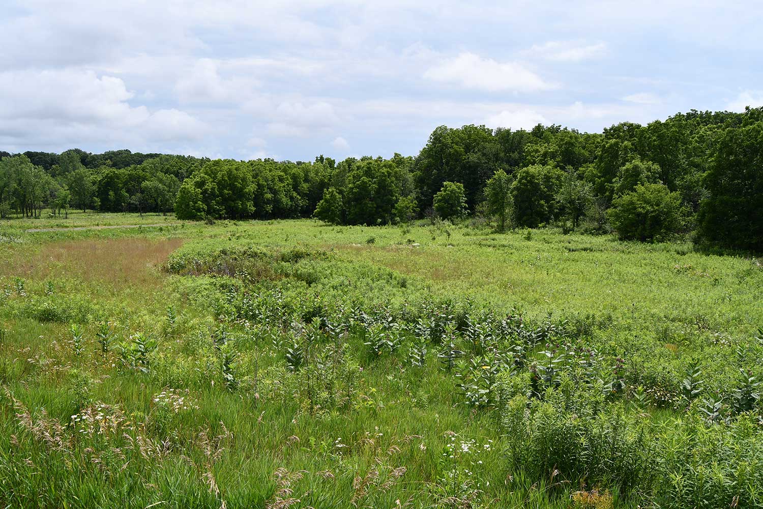 A scenic view of the prairie.