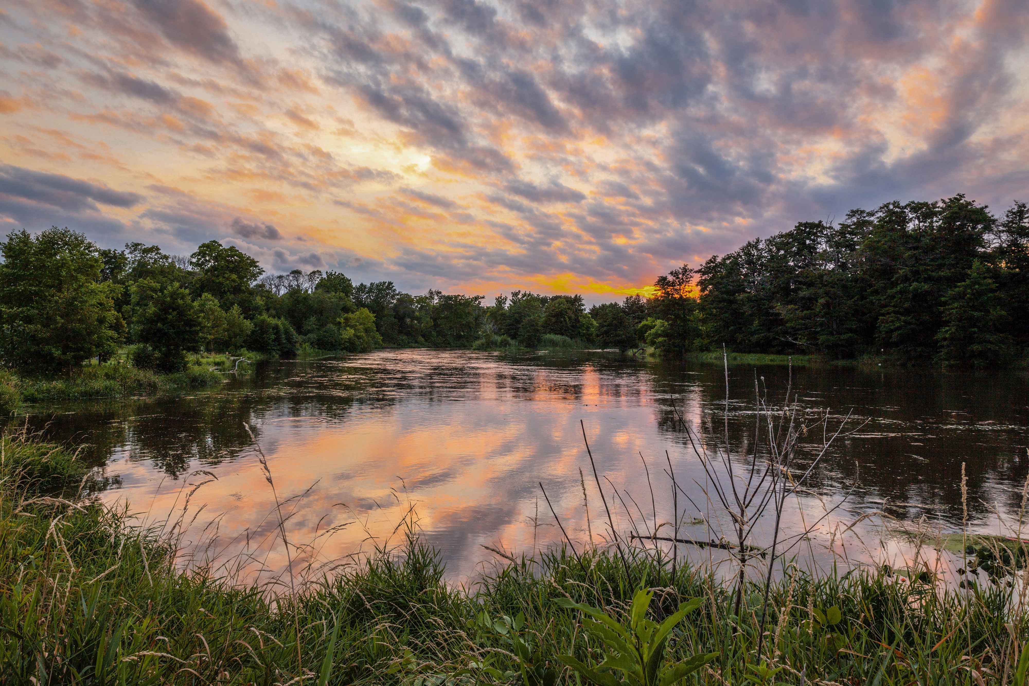 A scenic view of McKinley Woods during sunset.