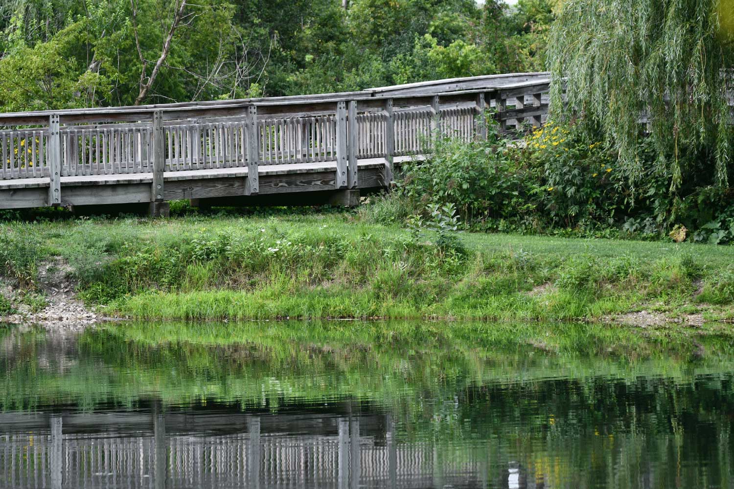 The bridge at Hidden Lakes.