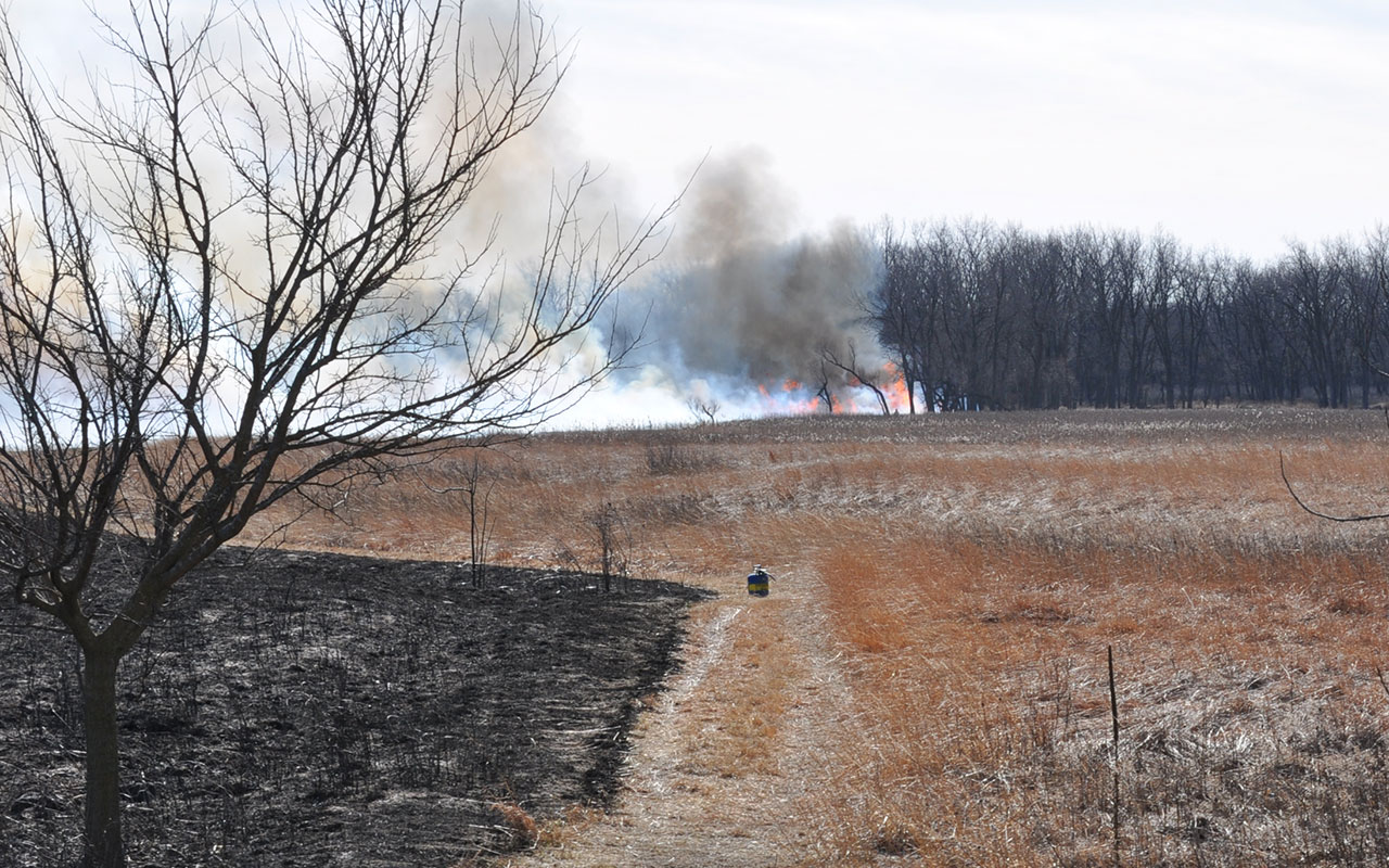 A before, during and after view of a controlled burn.
