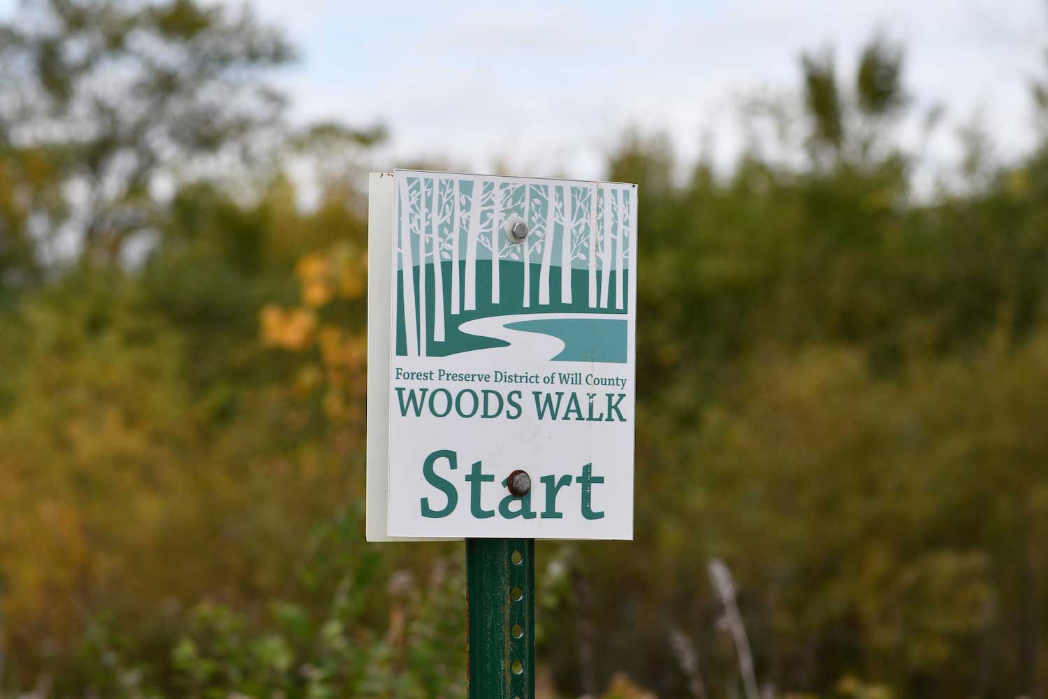 A Woods Walk sign at the start of a trail with grasses and trees in the background.