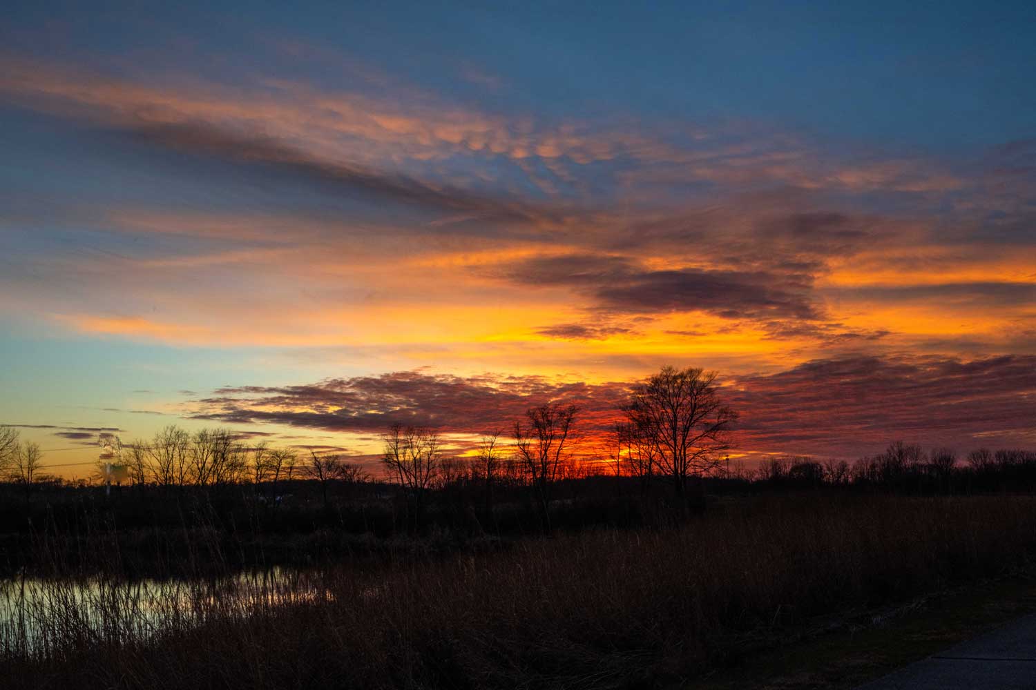 A colorful sunset with red, orange and yellow hues with water in the foreground and a scattering of trees in the background.