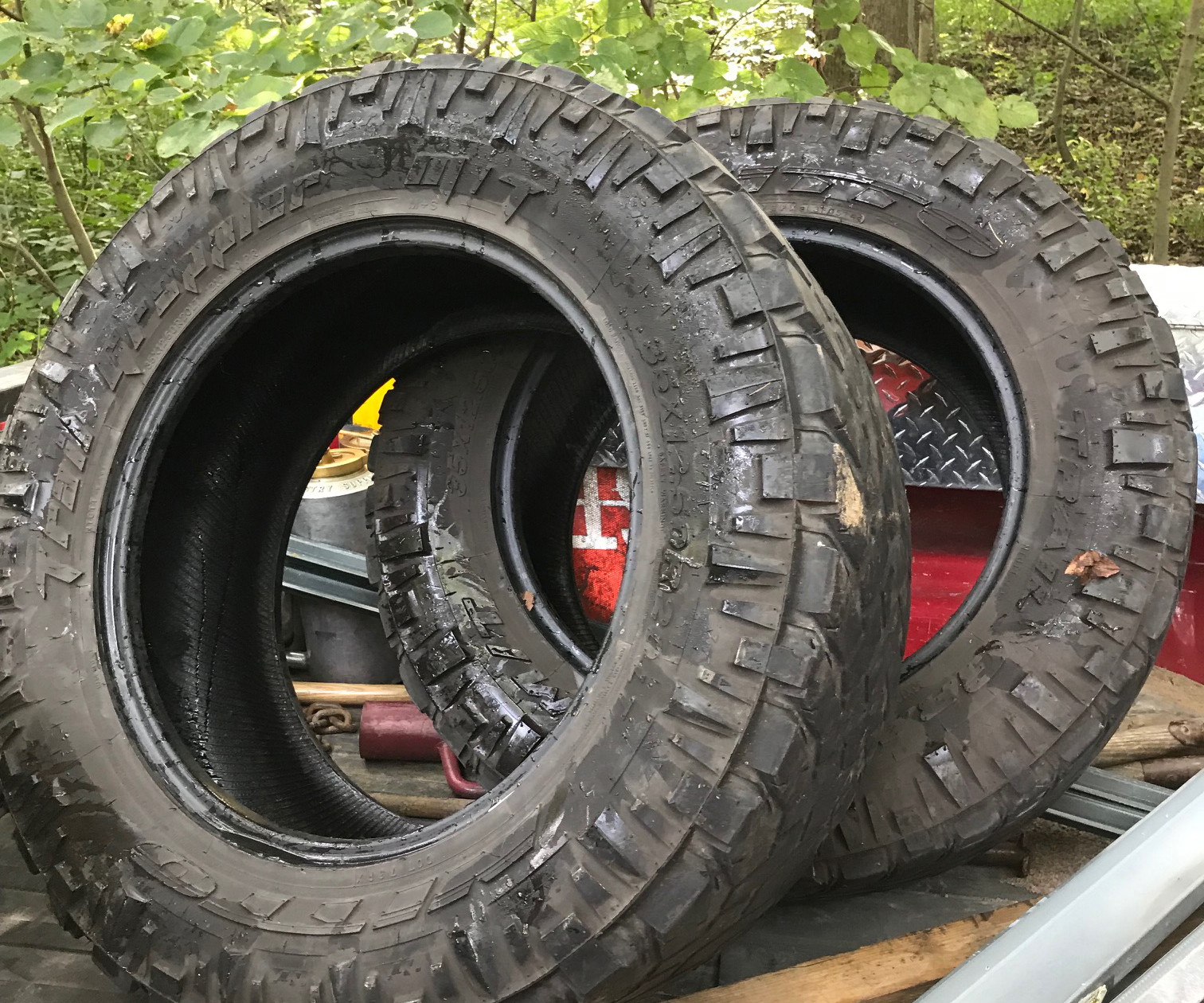 Two rubber tires found in a preserve.
