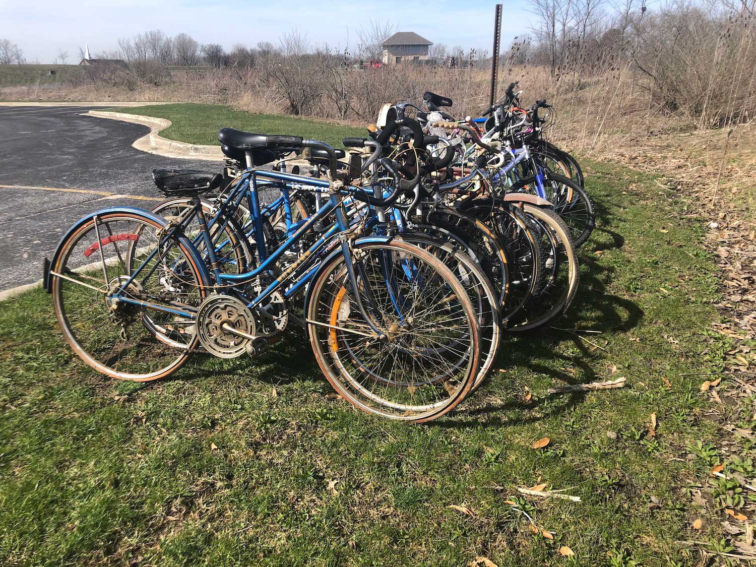 A line of bikes donated to be refurbished sitting in the grass next to a parking lot.