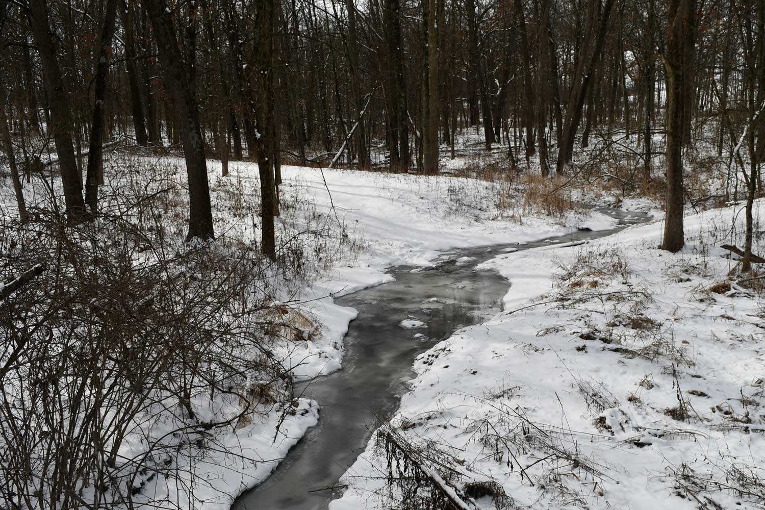 Creek frozen over with trees in the background.