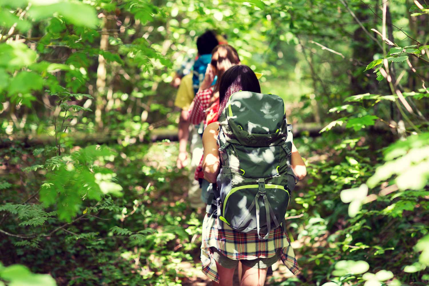 A line of young people hiking through the woods.