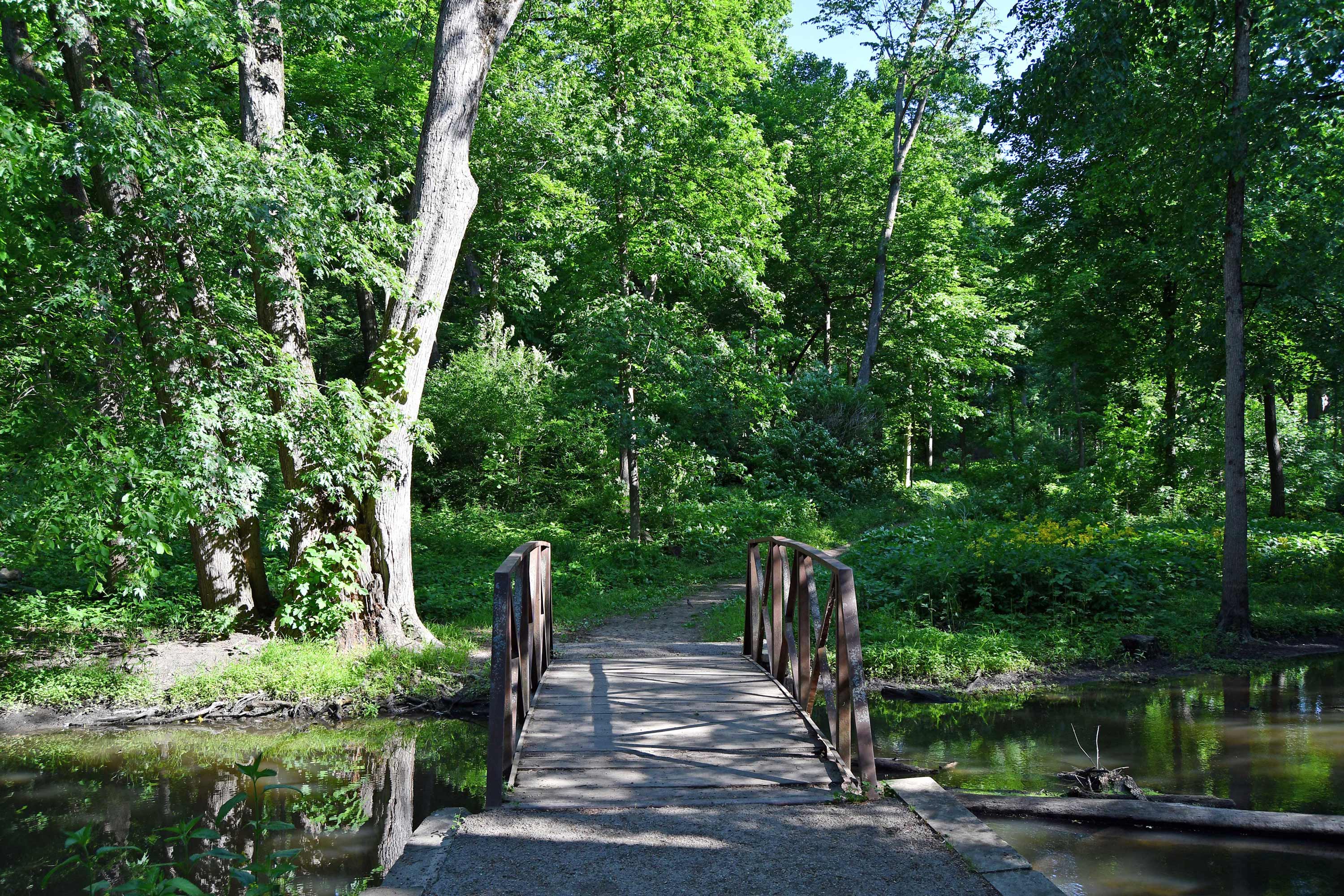 A view of the trail at Messenger Woods.