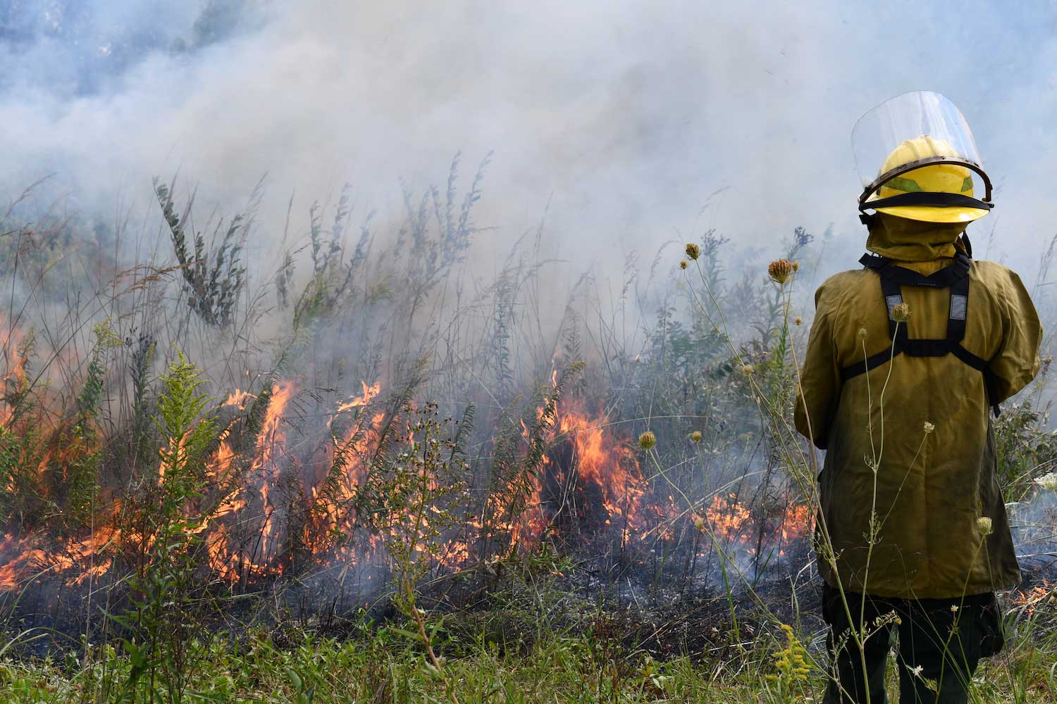 A firefighter standing watch over a prescribed burn.