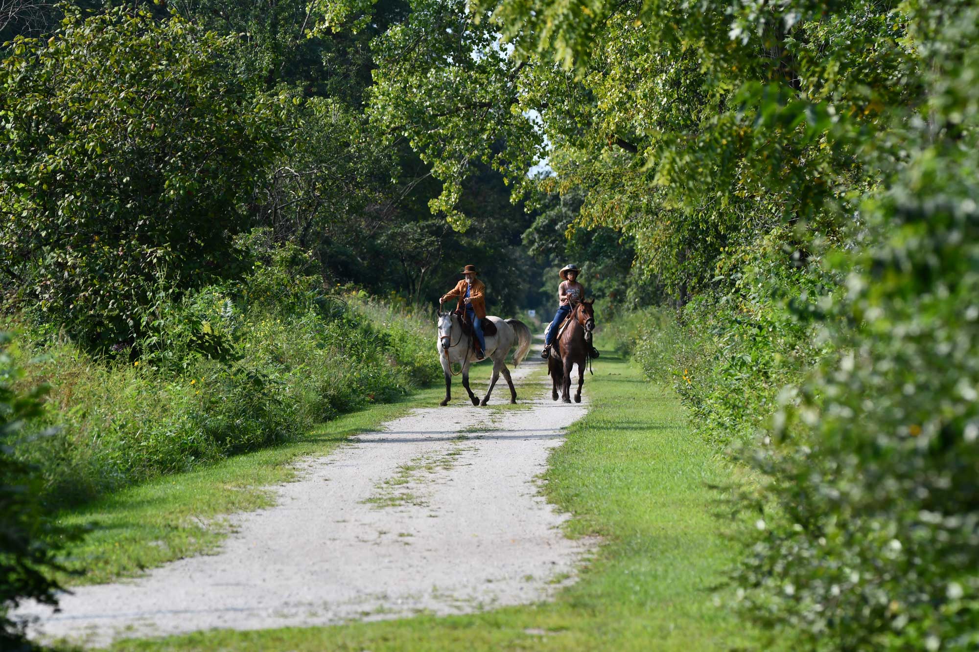 Two people riding horseback on a limestone trail surrounded by forest.