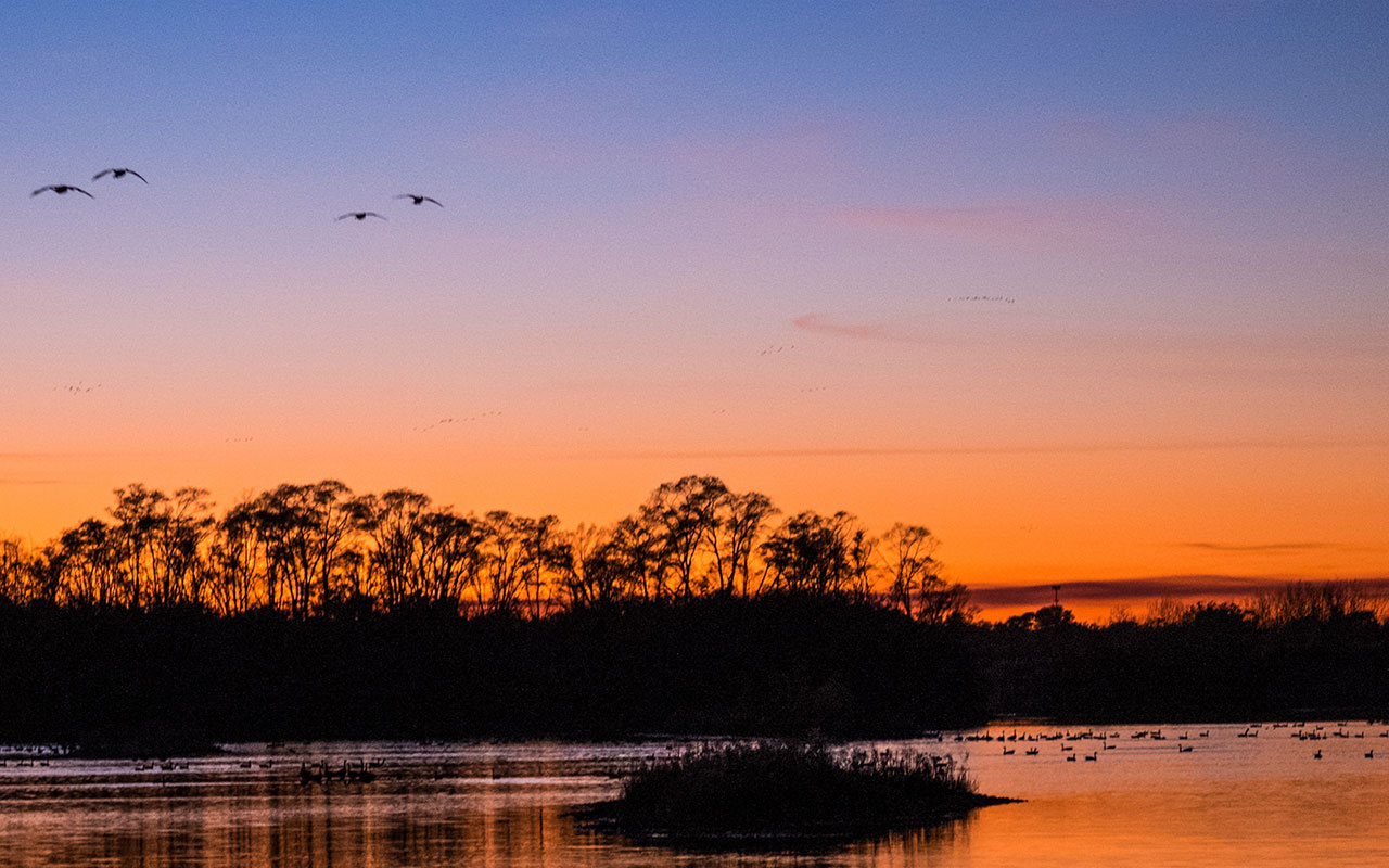 A sunset at Lake Renwick Preserve.