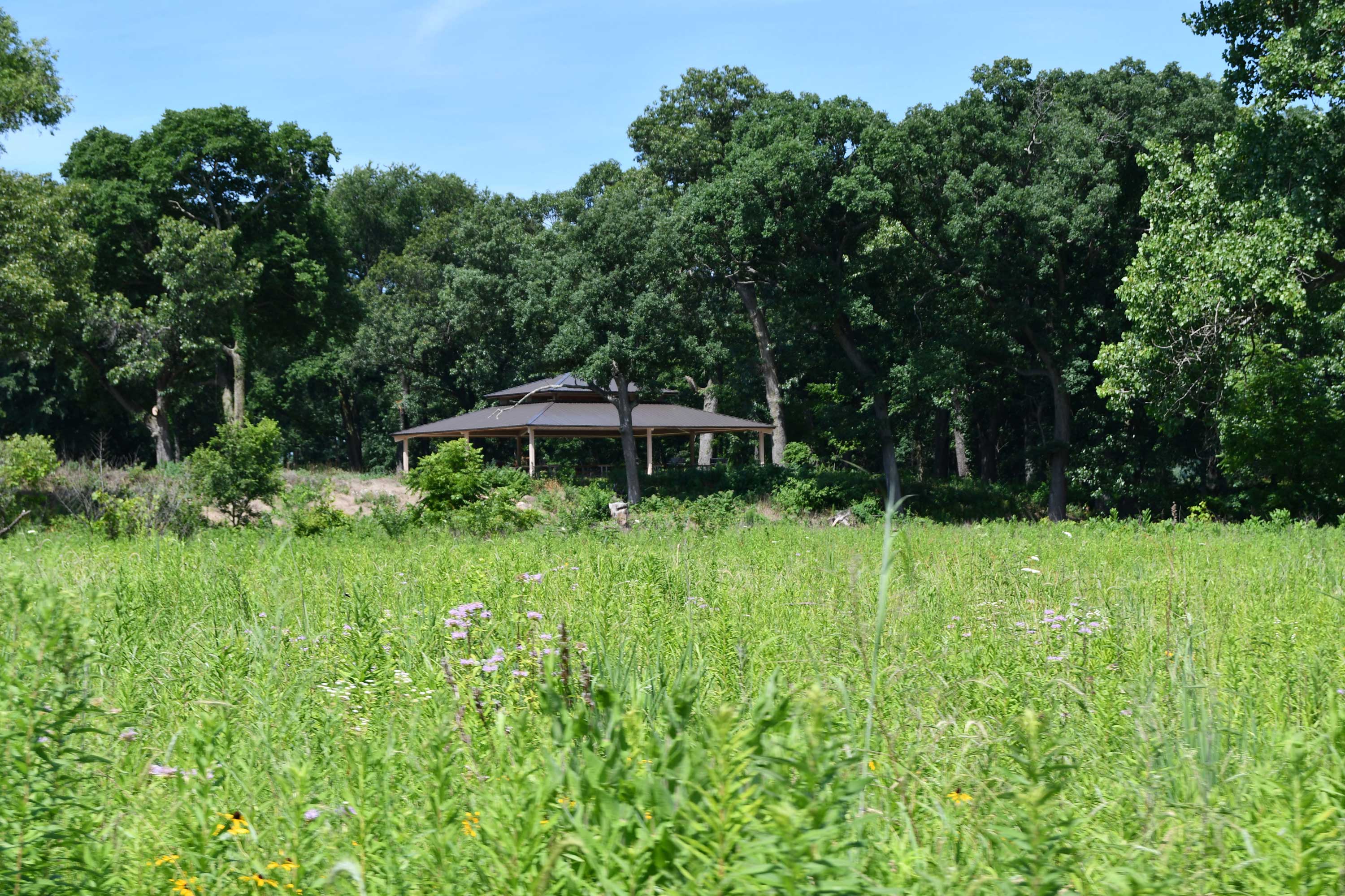 A view of the picnic shelter at KankaKee Sands Preserve.