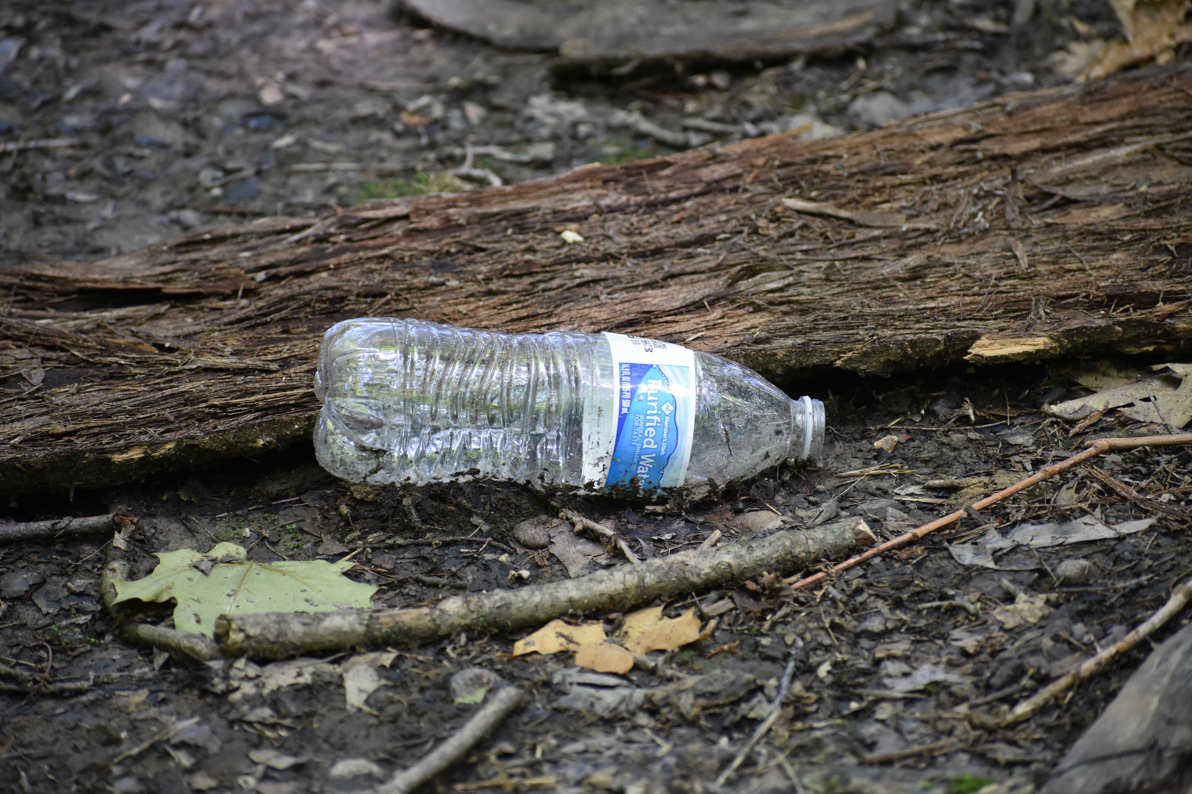 An empty plastic water bottle resting near a fallen tree branch along a trail.