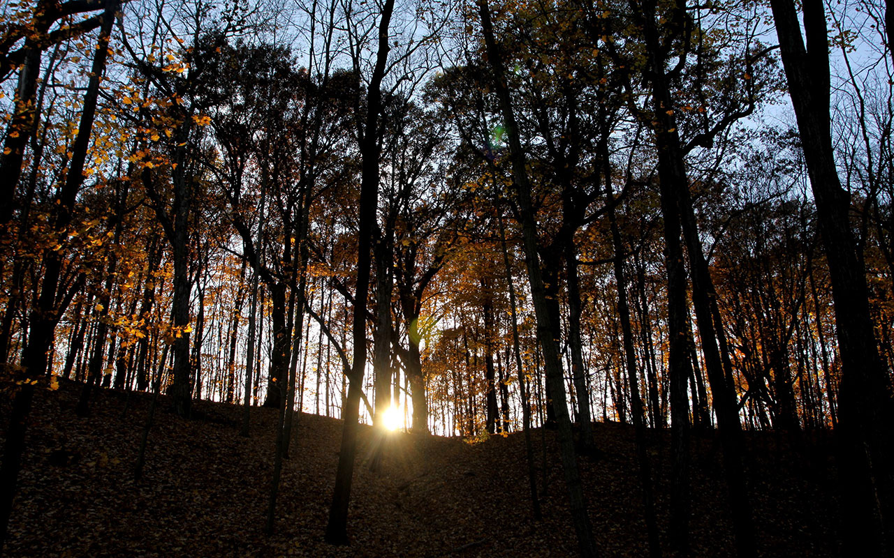 A sunset at Hammel Woods.