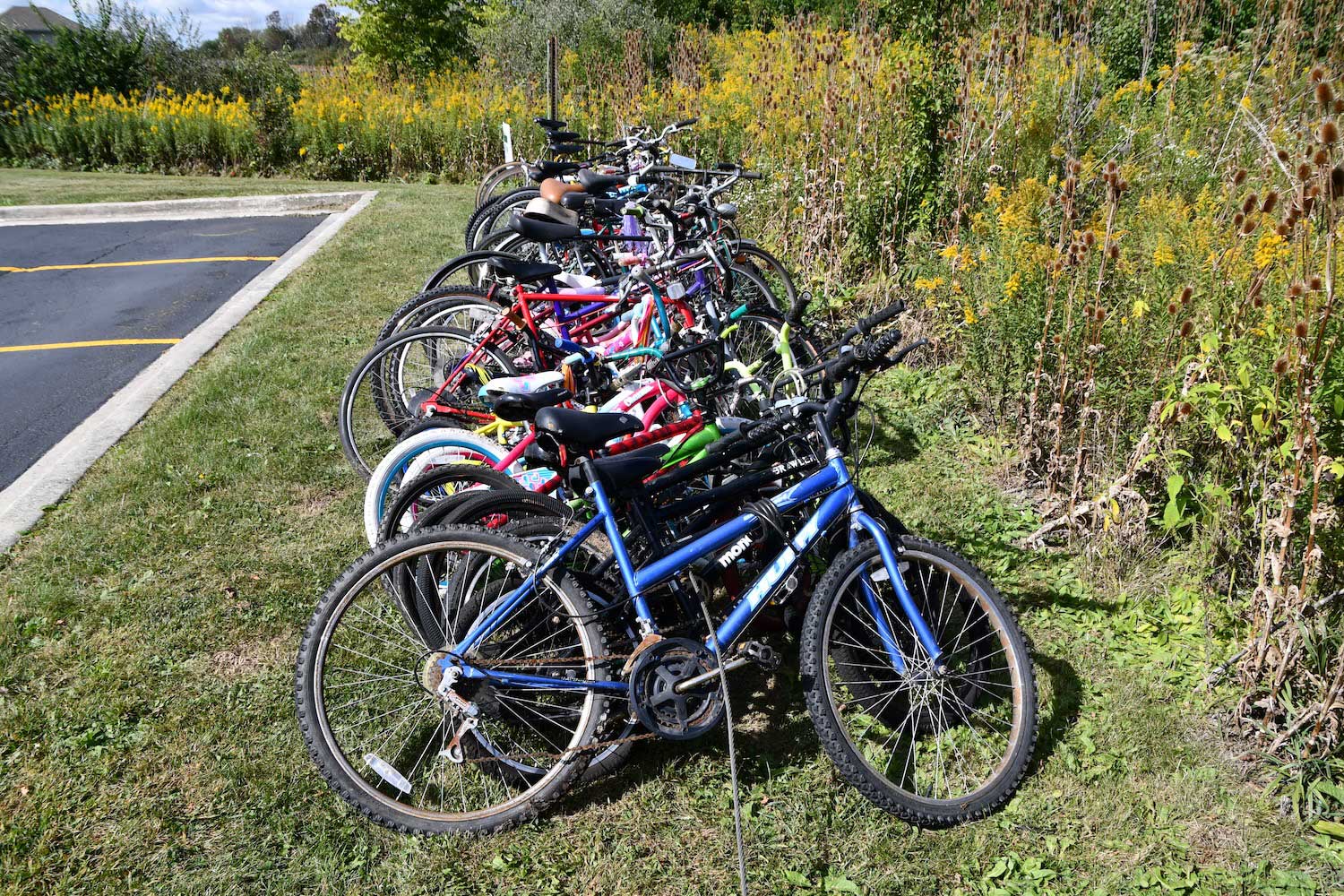 Bikes lined up in the grass next to a parking lot.