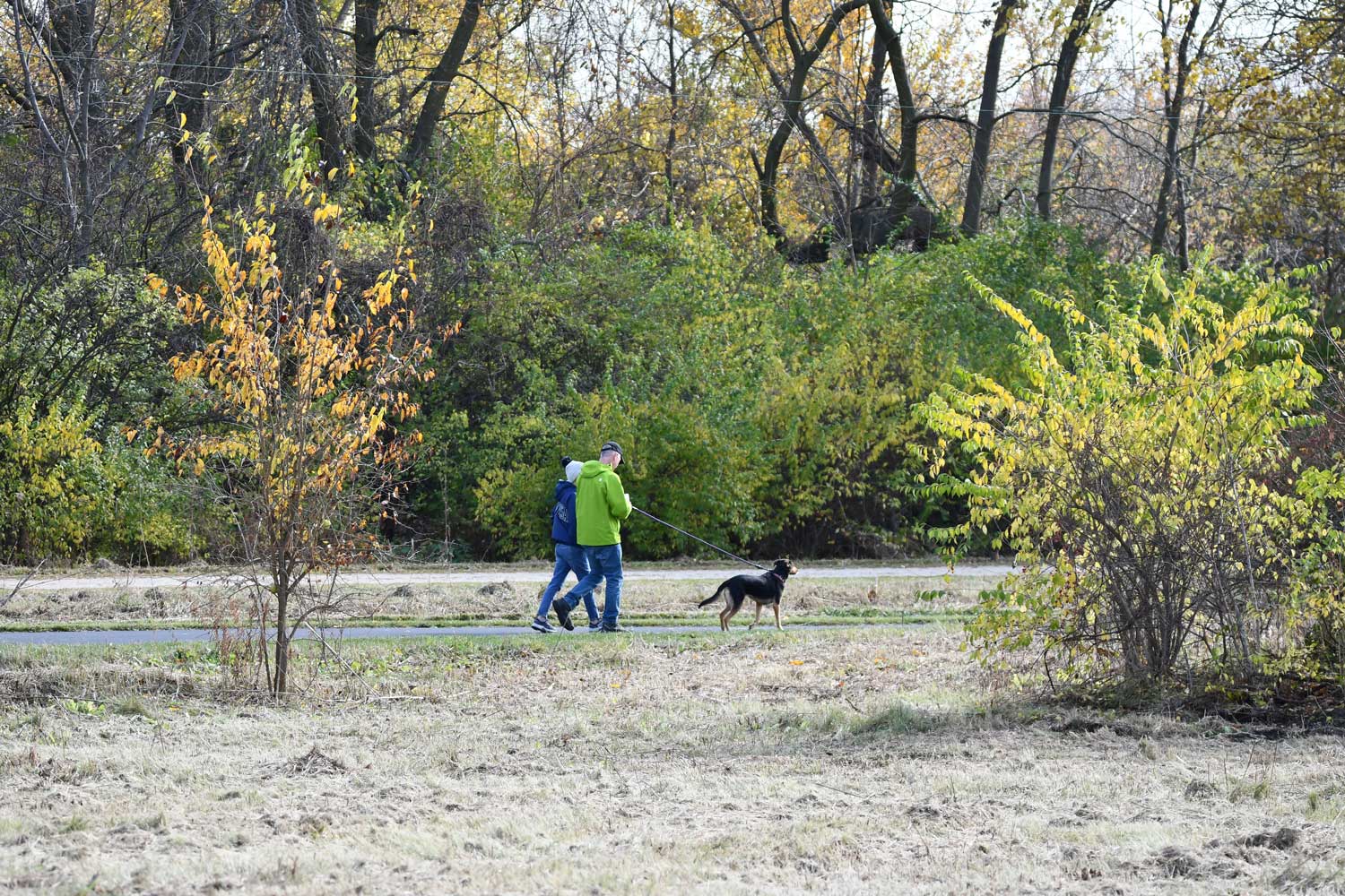 Two people walking a dog along a trail.
