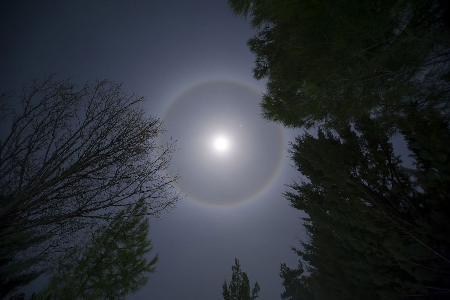 Moon halo