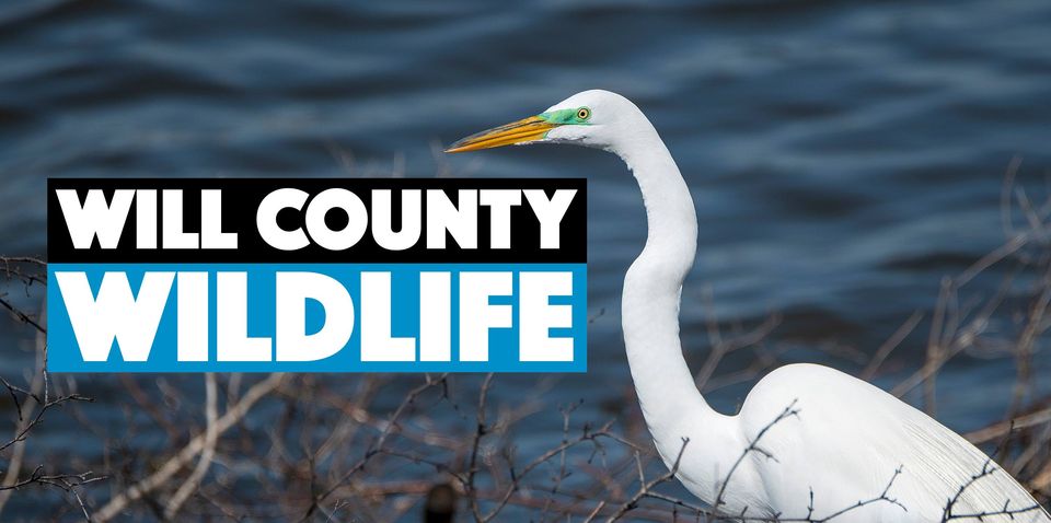 Will County Wildlife logo.