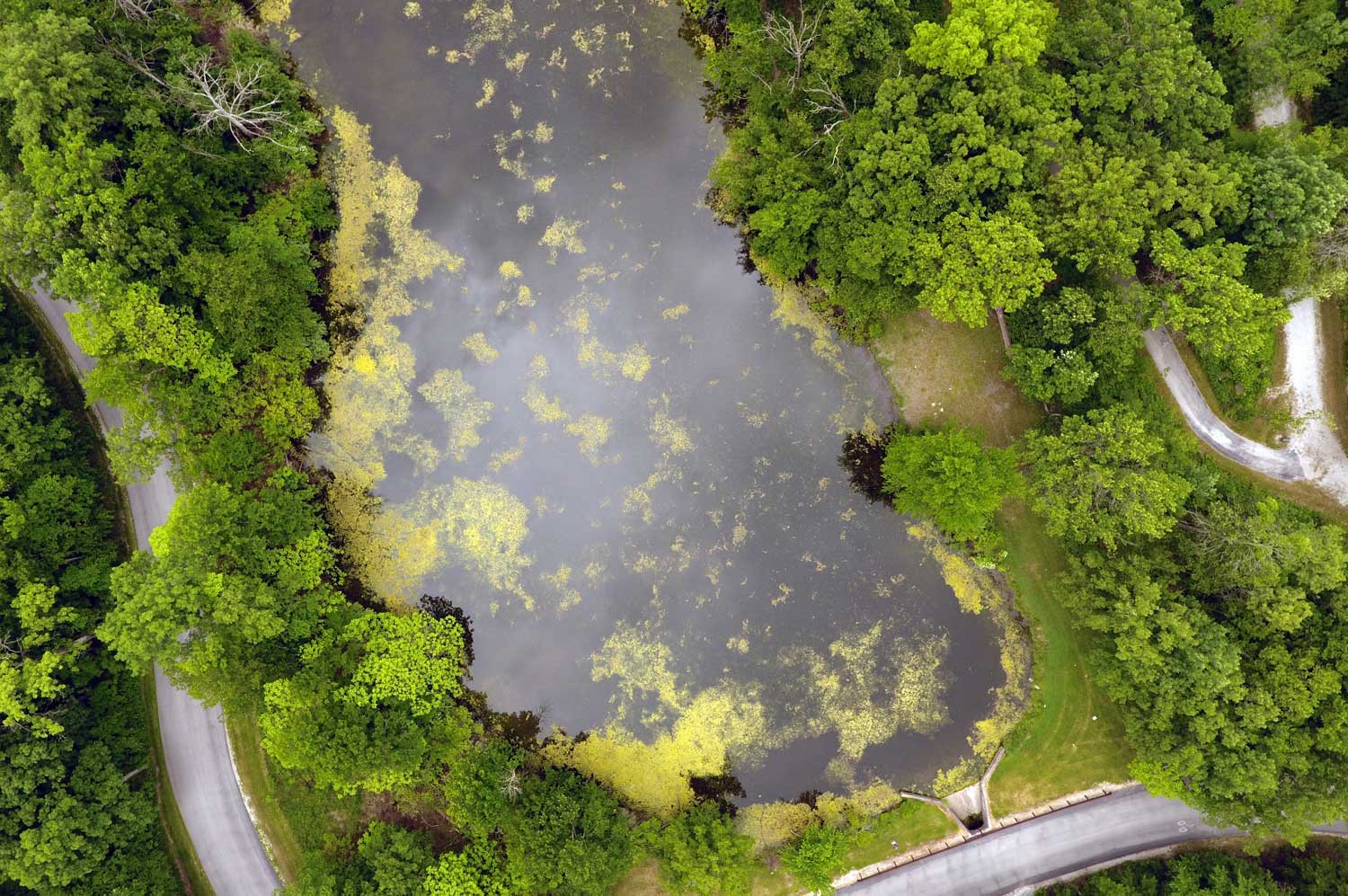 An aerial view of a pond surrounded by trees.