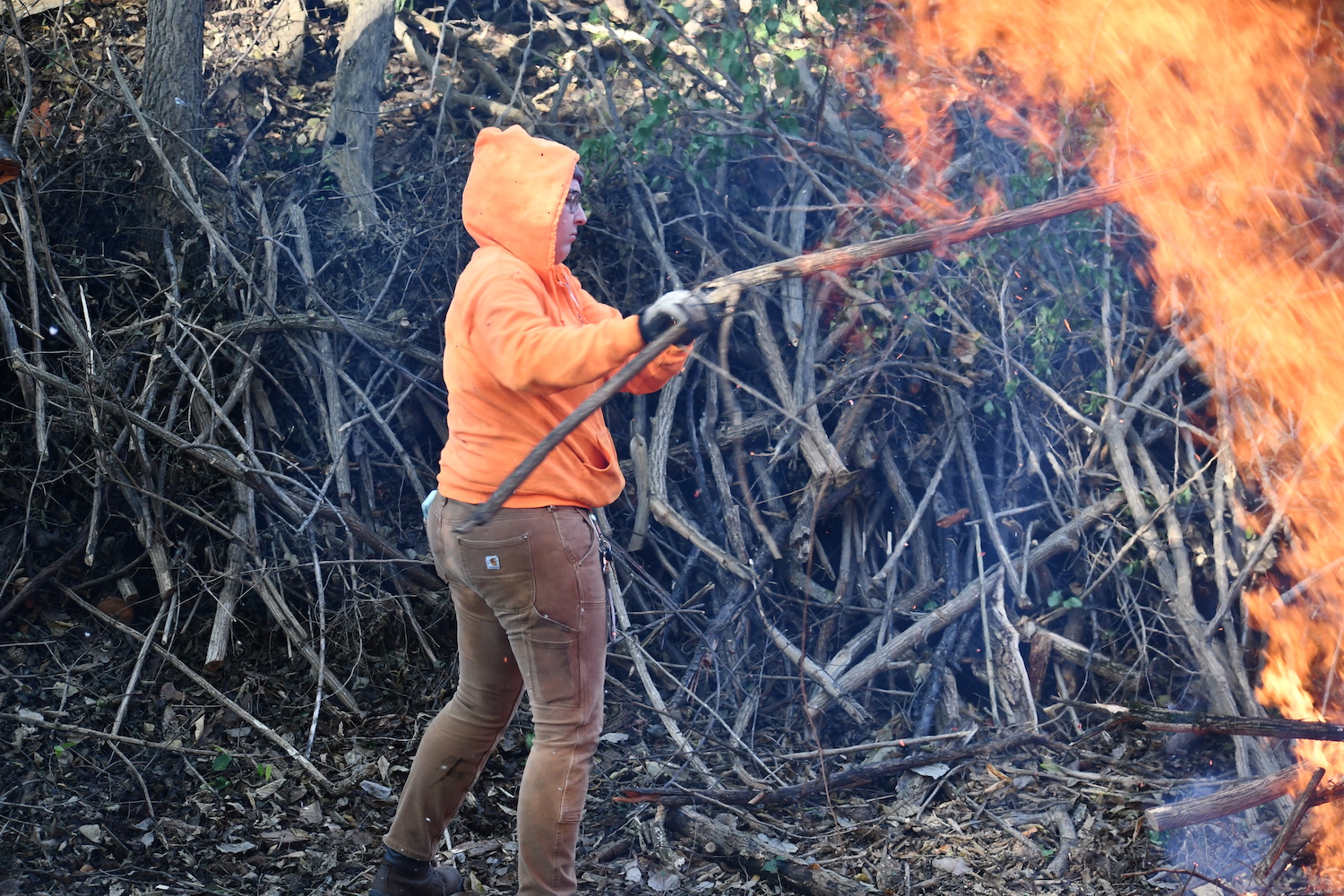 A person adding cut branches to a burning brush pile.