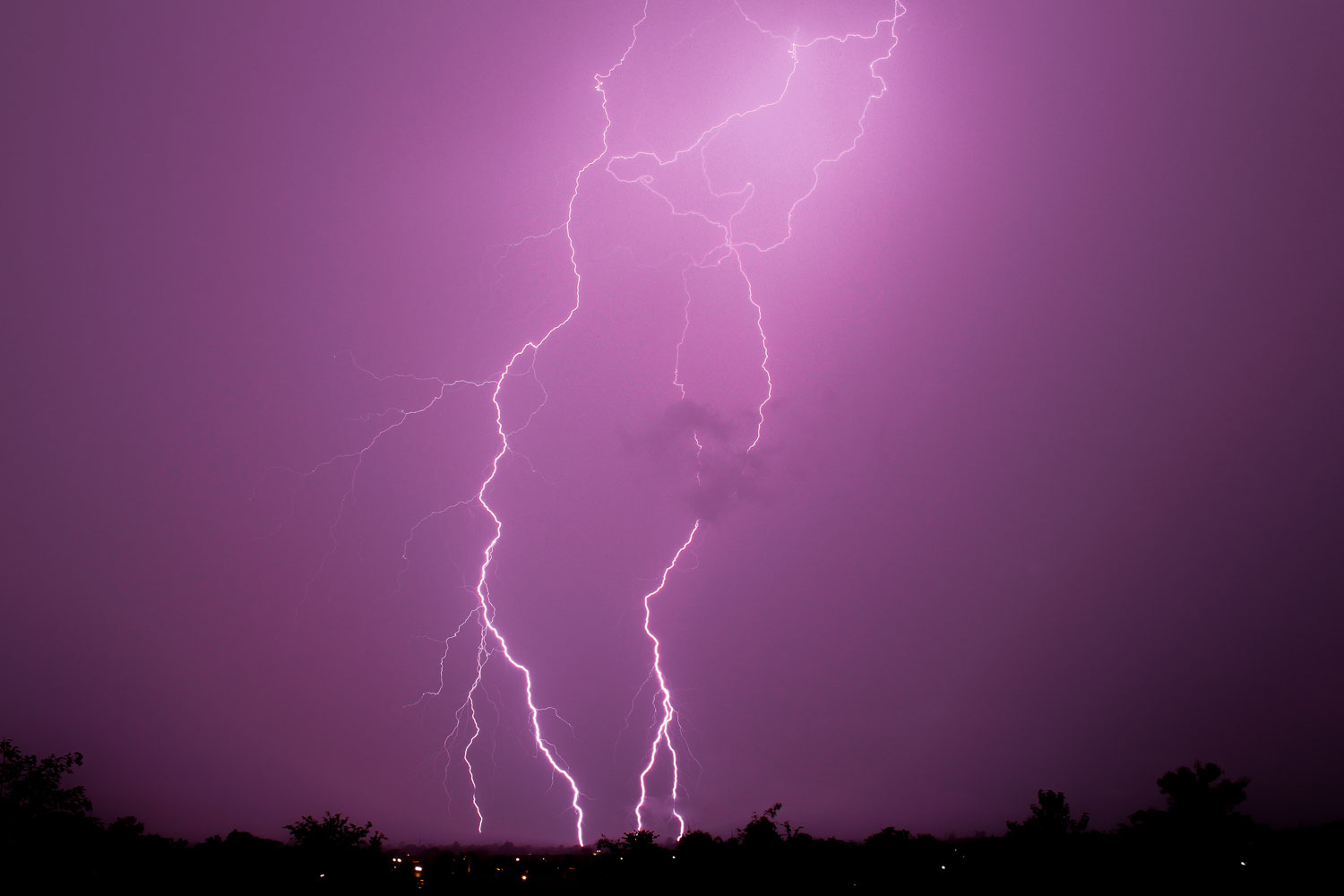 Myth Buster Lightning Can Strike The Same Place Twice Forest Preserve District Of Will County 