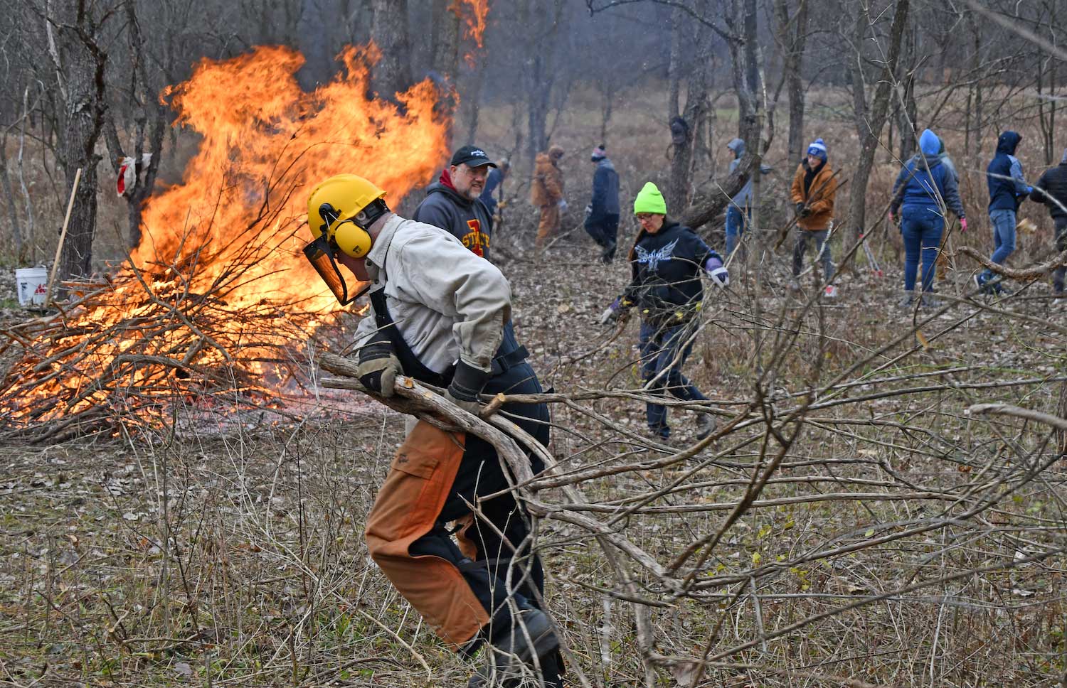 A person in protective gear hauling a branch toward a brush pile. 