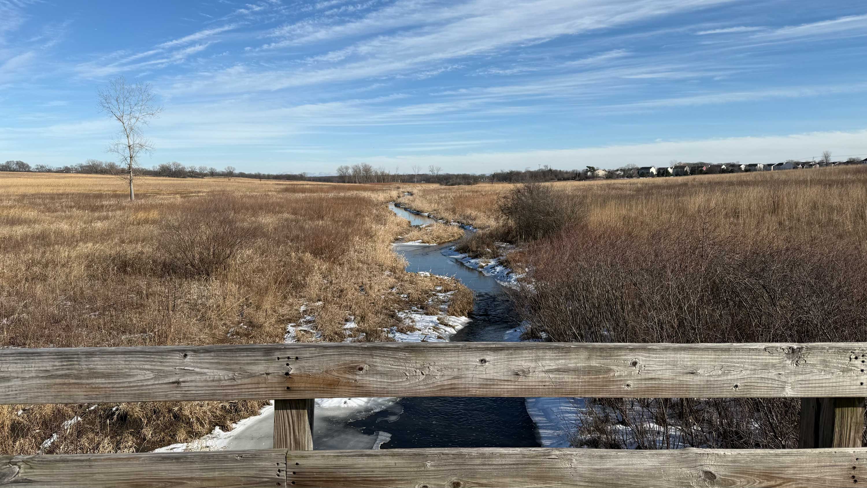 A scene of the creek from a bridge. 