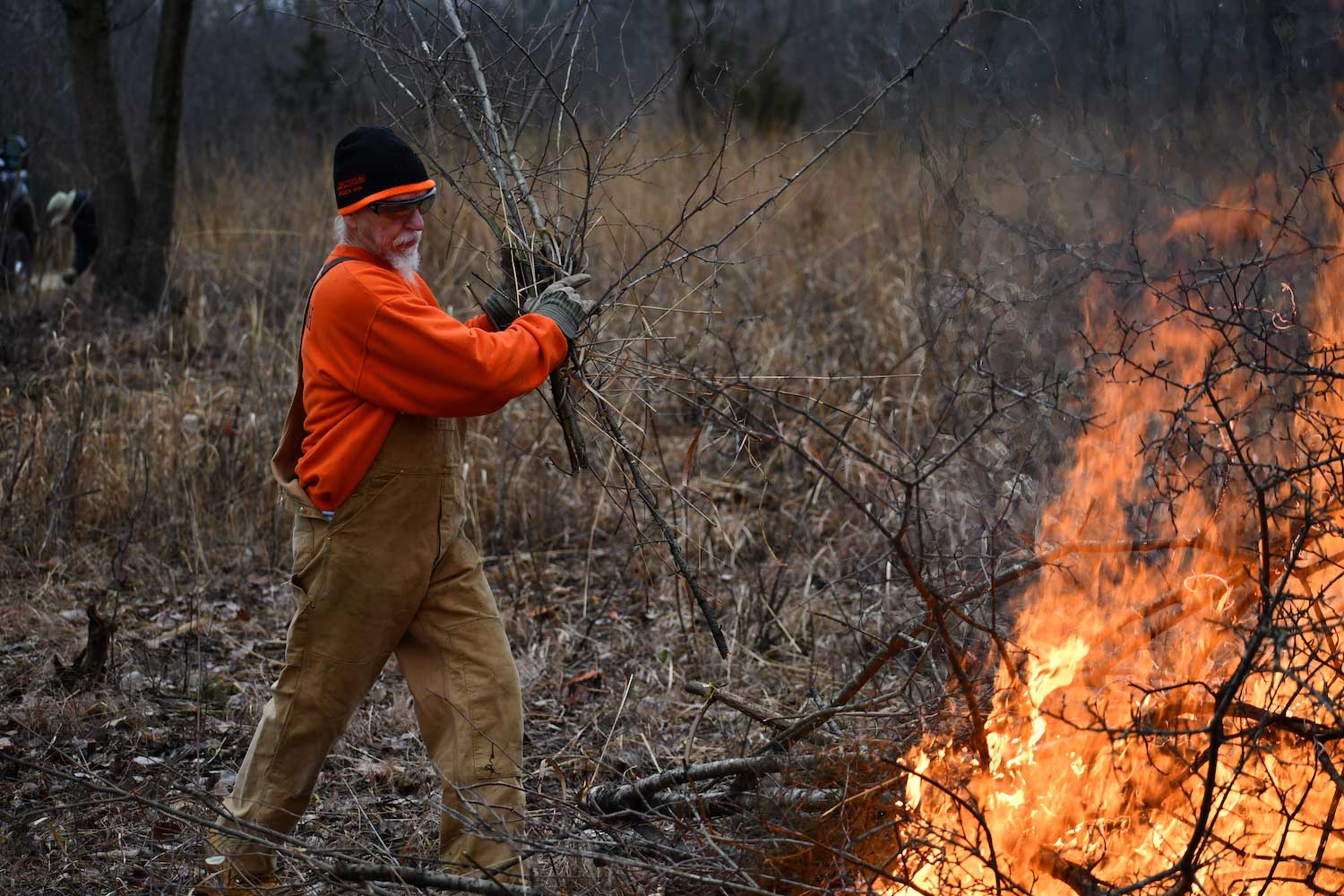 A person adding branched to a burning pile of brush.