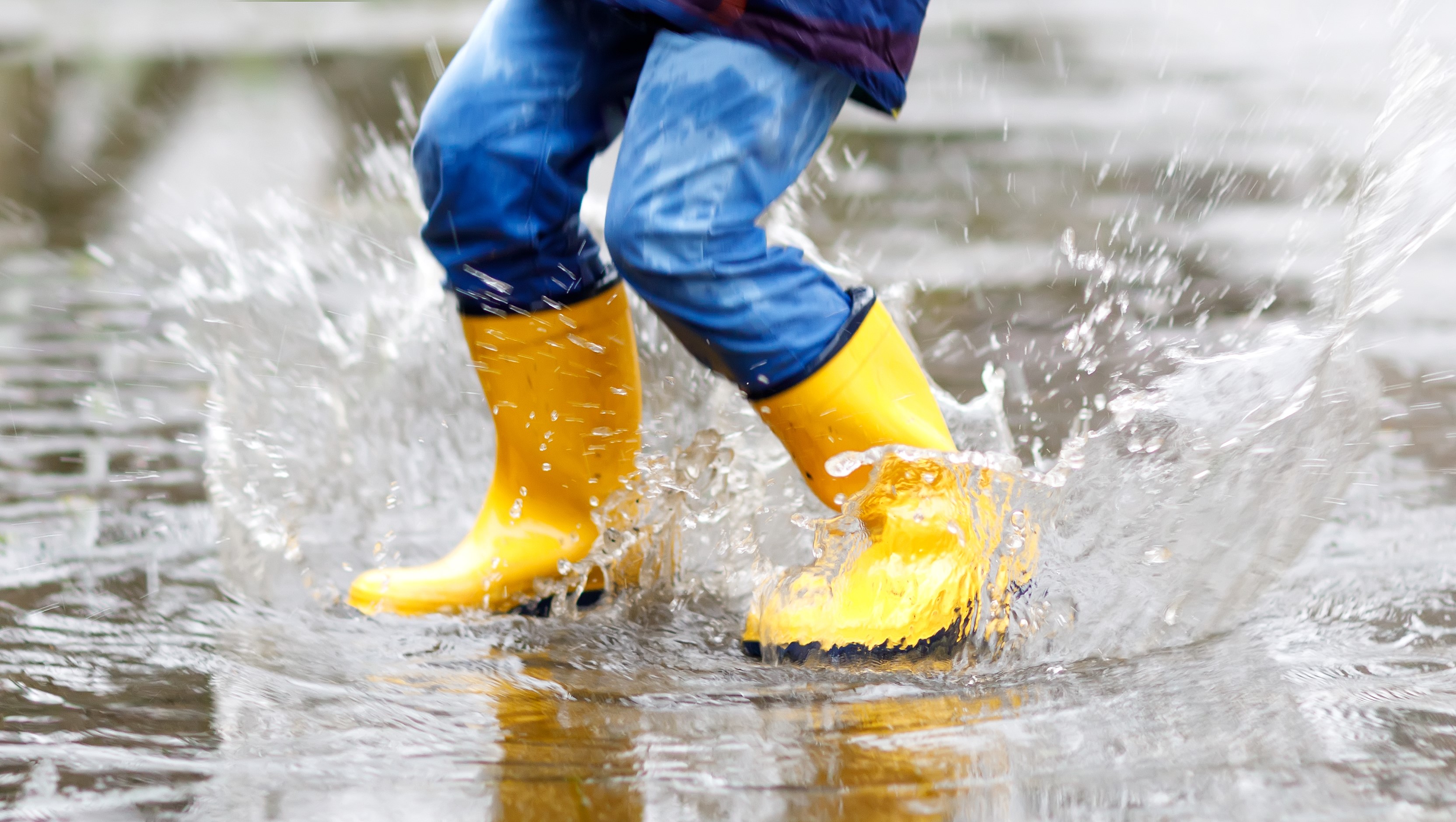 Closeup of a kid splashing in a puddle.