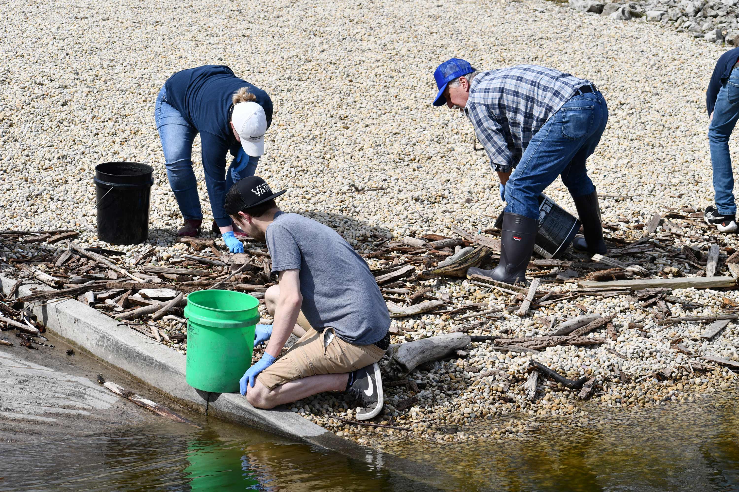 Volunteers clean trash along a shoreline.