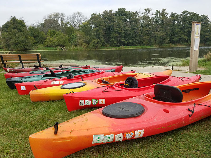 Kayaks lined up along the shore.