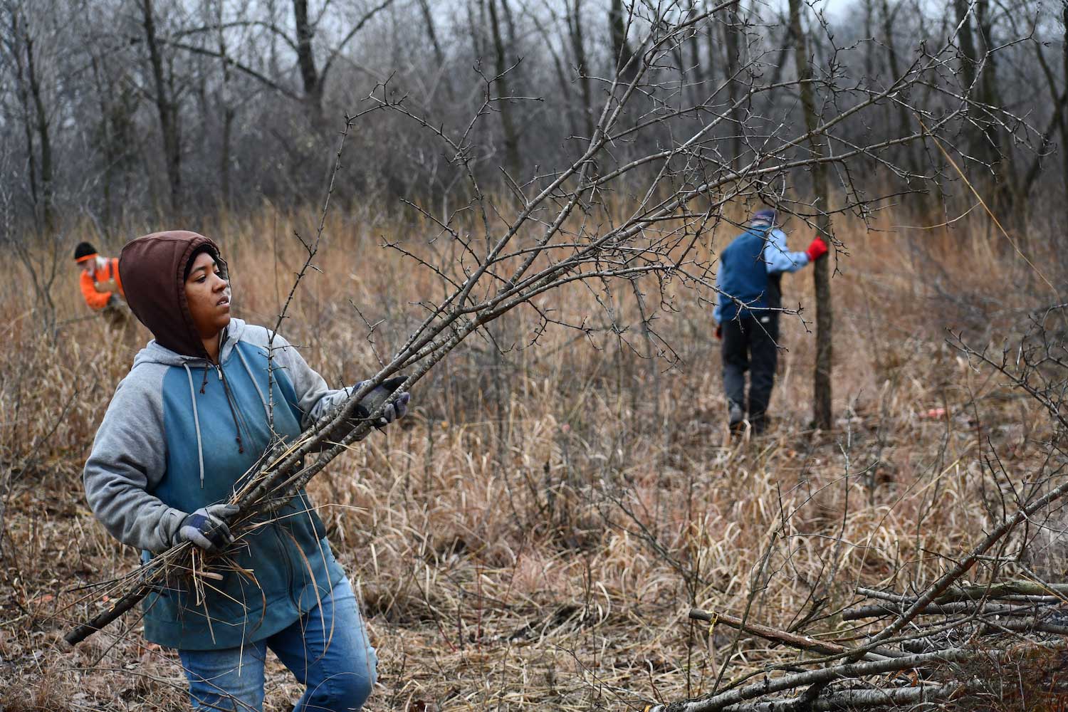 A person hauling sticks and brush to a brush pile while other people work in the background.