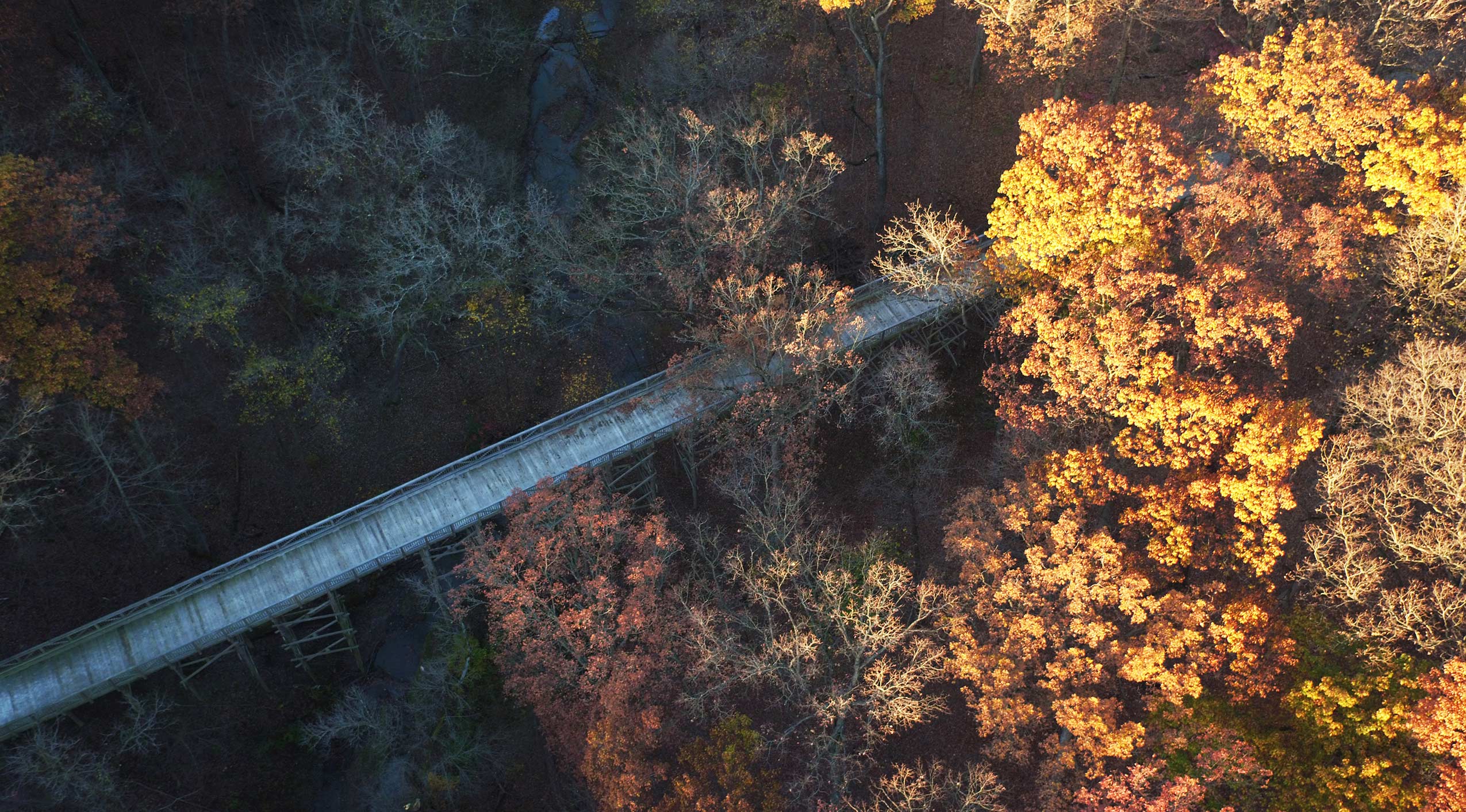 Aerial view of the big bridge at Goodenow Grove.