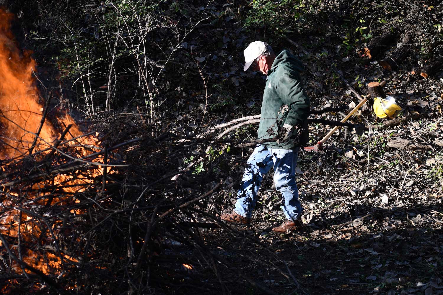 A person carrying branches toward a burning brush pile.