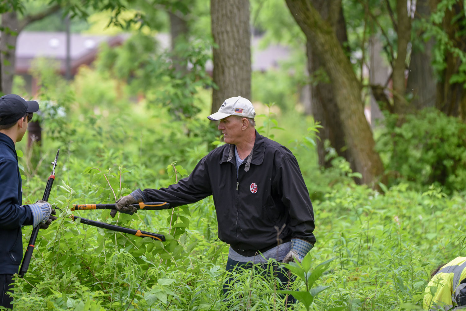 Two people with loopers working in an area with tall vegetation.